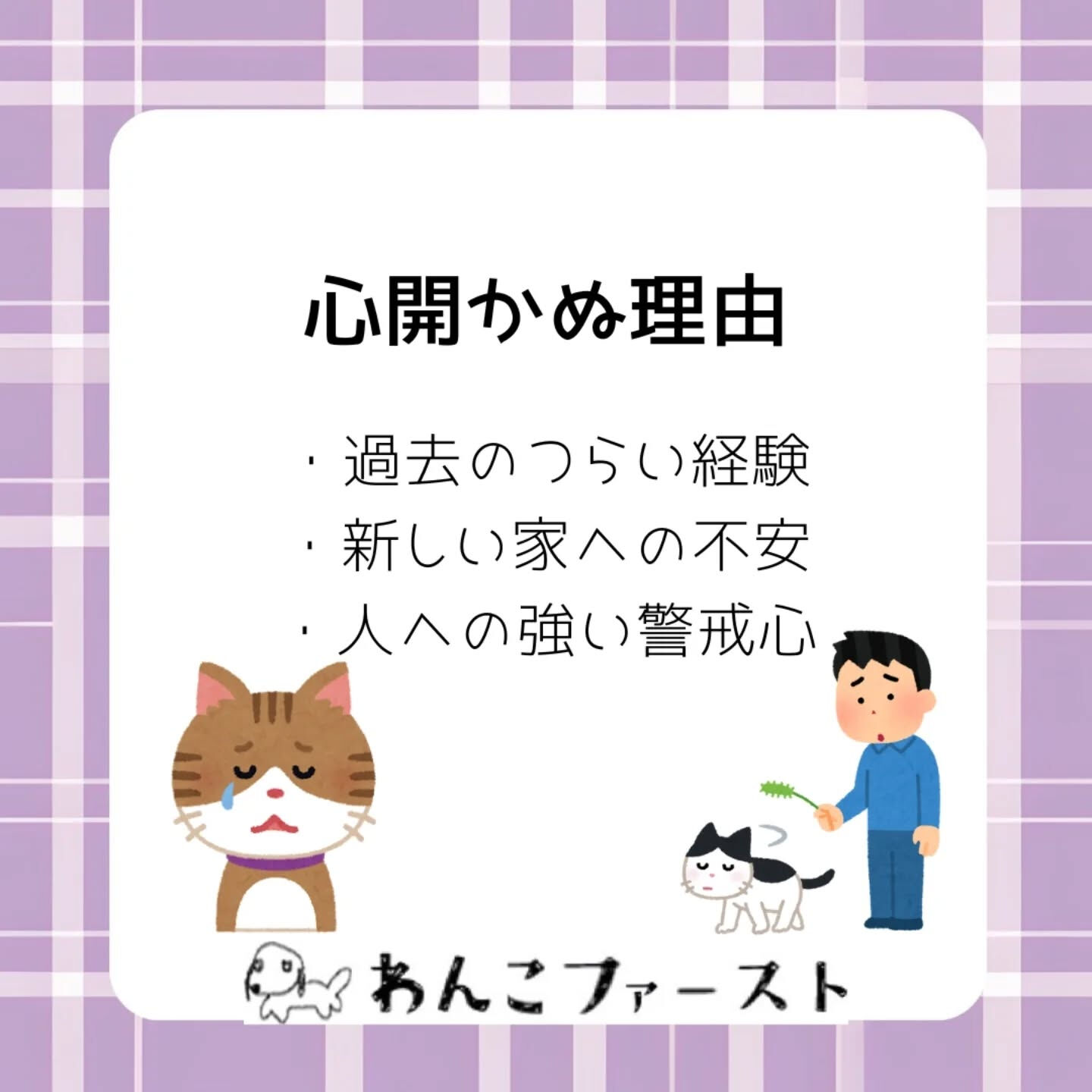 保護猫がなかなか懐かない…と感じたことは