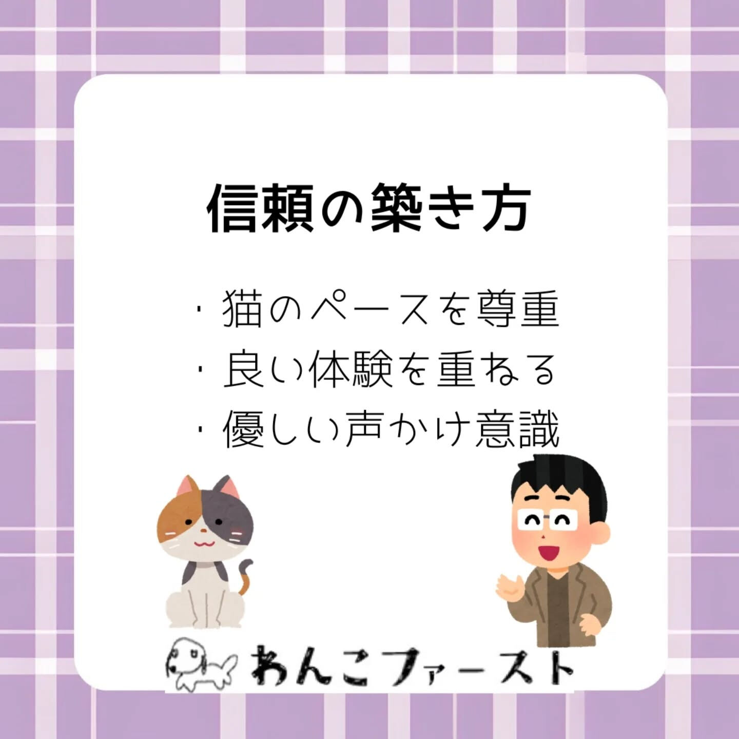保護猫がなかなか懐かない…と感じたことは