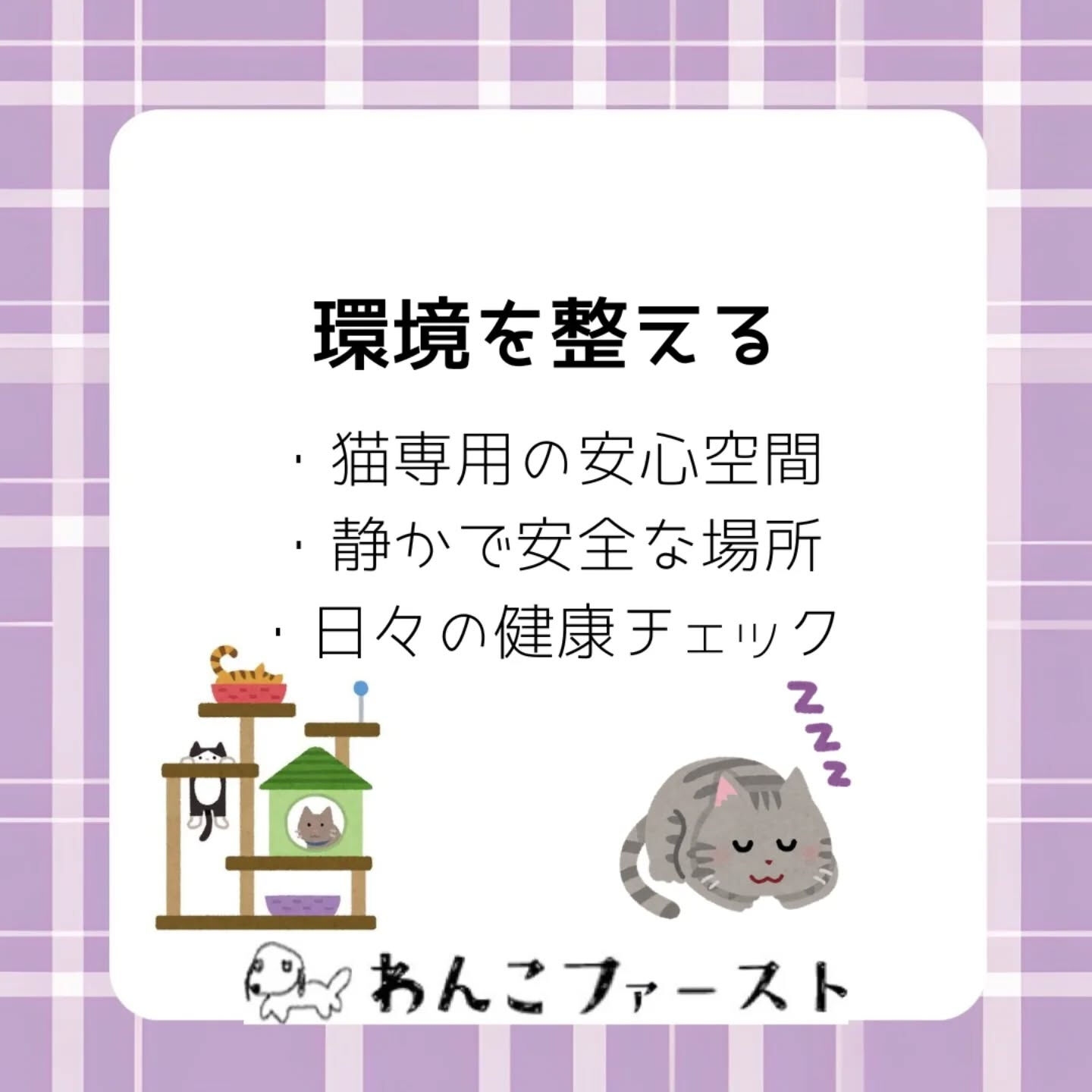保護猫がなかなか懐かない…と感じたことは