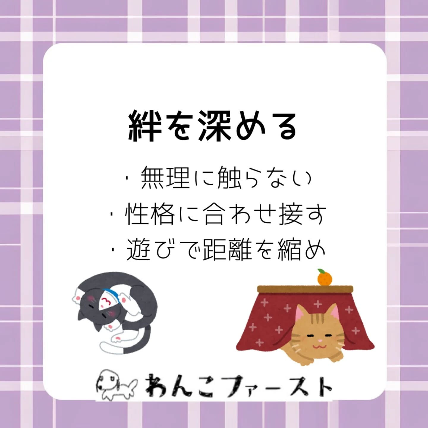 保護猫がなかなか懐かない…と感じたことは