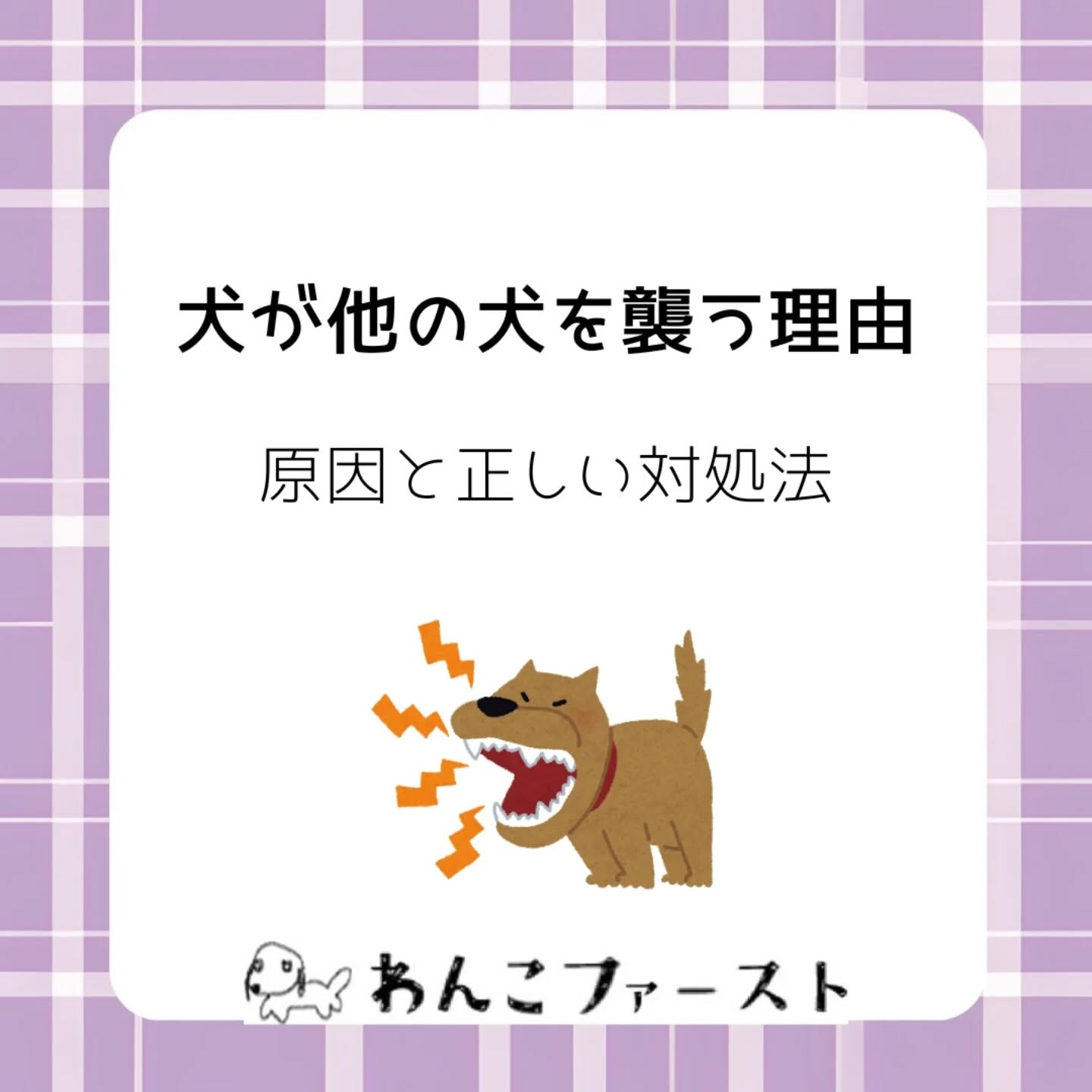 犬同士のトラブルに悩んでいませんか？🐶