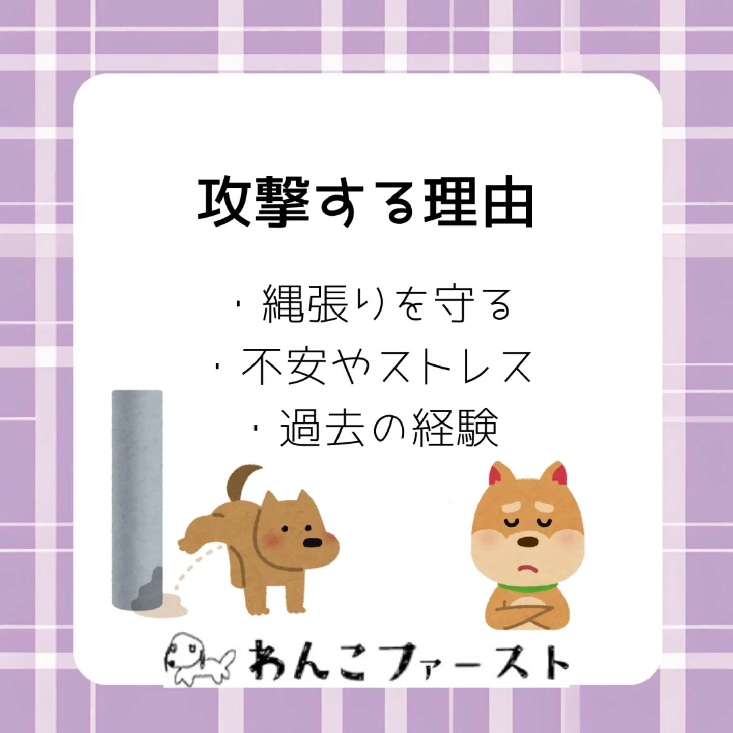犬同士のトラブルに悩んでいませんか？🐶