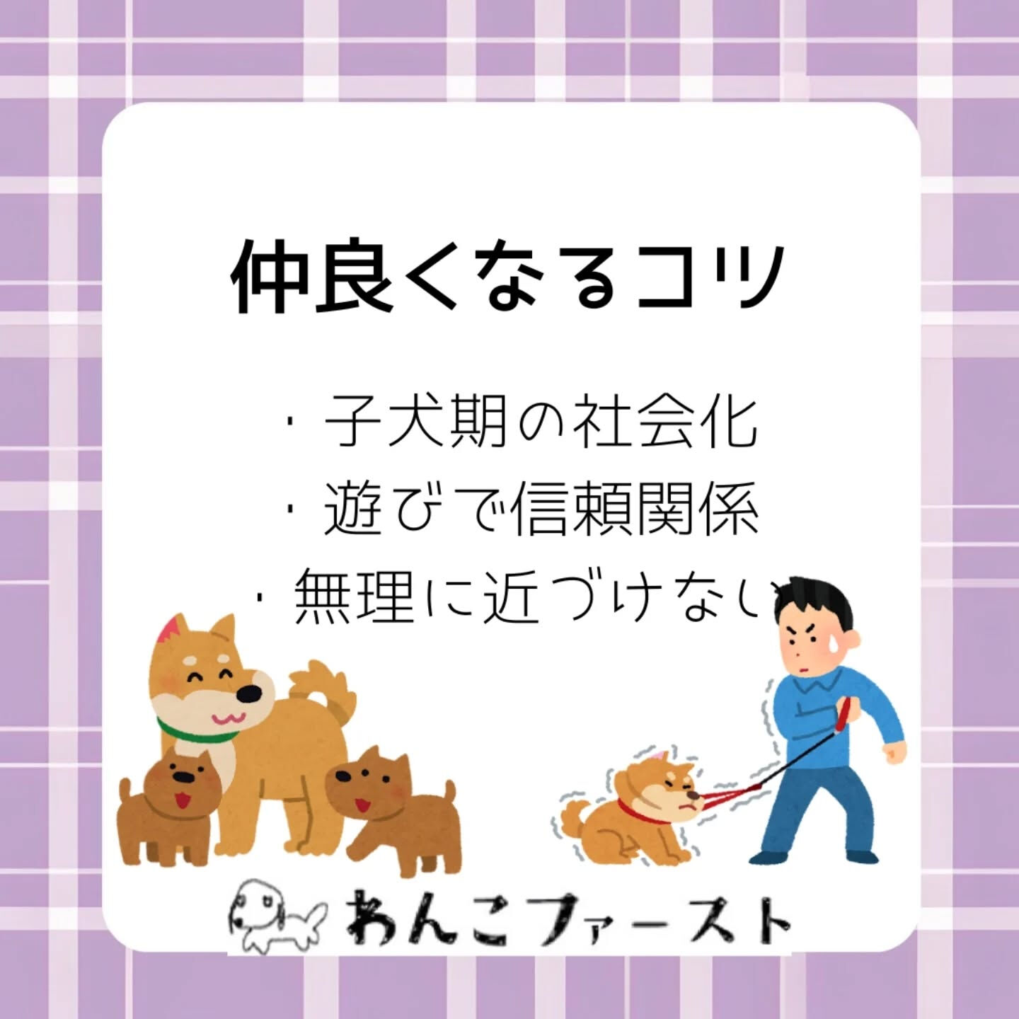 犬同士のトラブルに悩んでいませんか？🐶