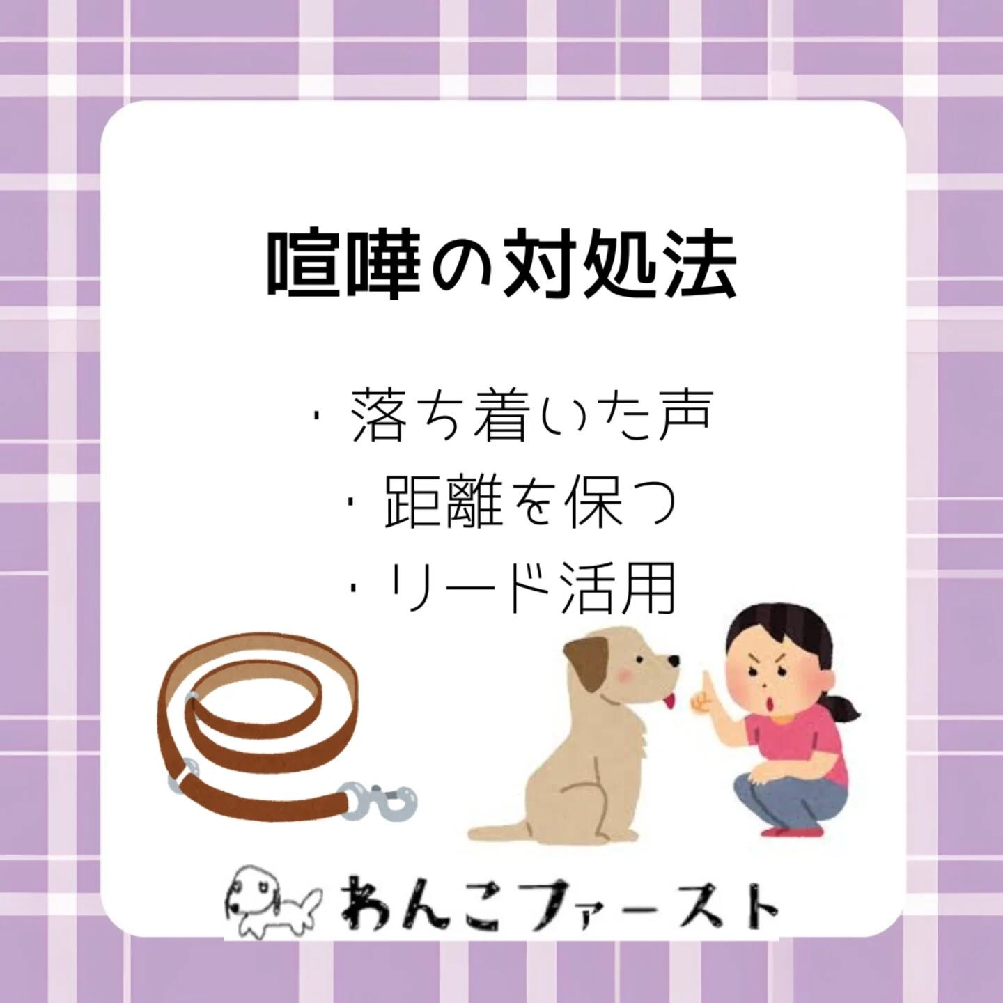 犬同士のトラブルに悩んでいませんか？🐶