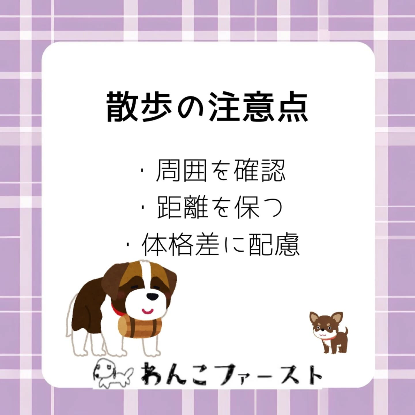 犬同士のトラブルに悩んでいませんか？🐶