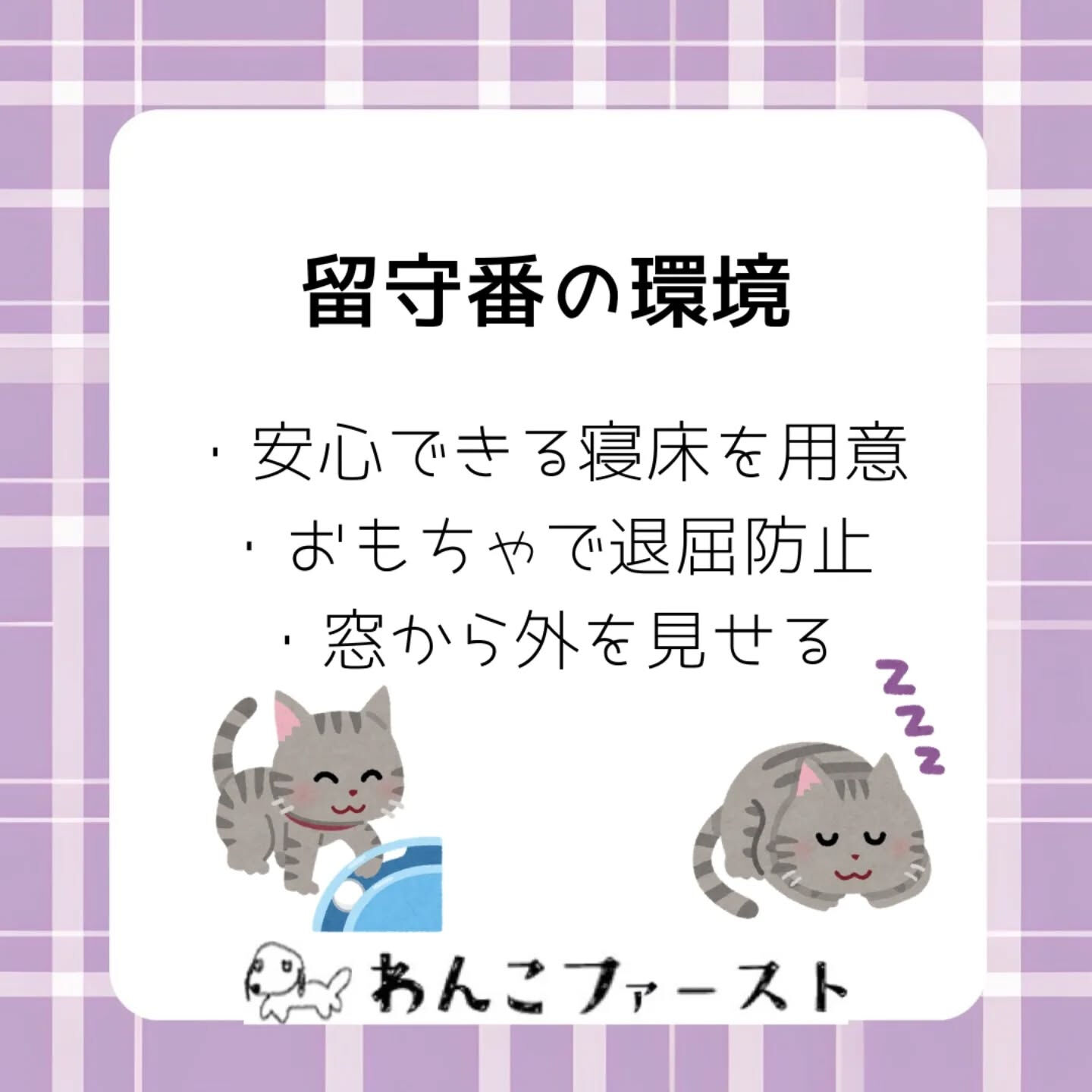 🐾ペットシッターわんこファーストです