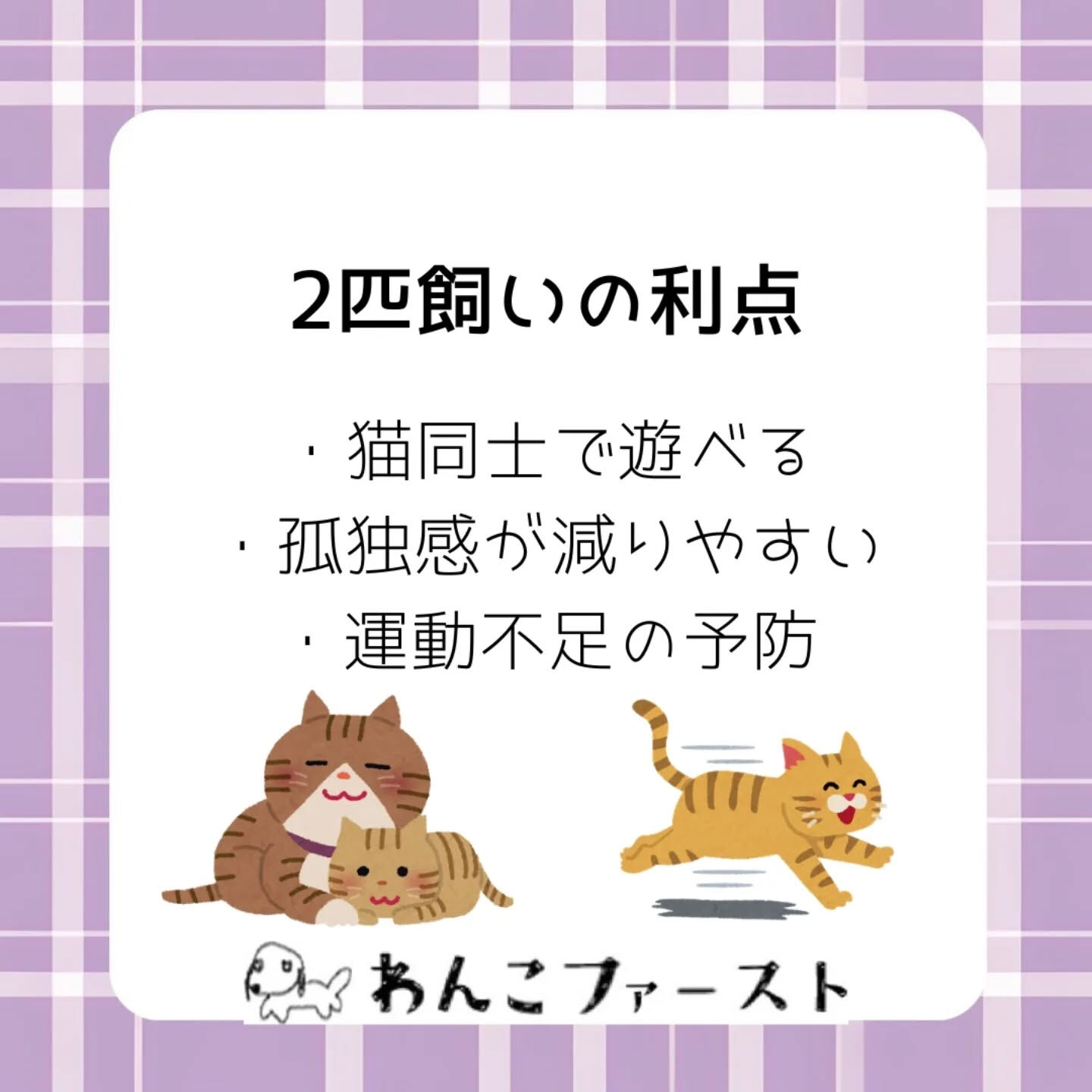 🐾ペットシッターわんこファーストです