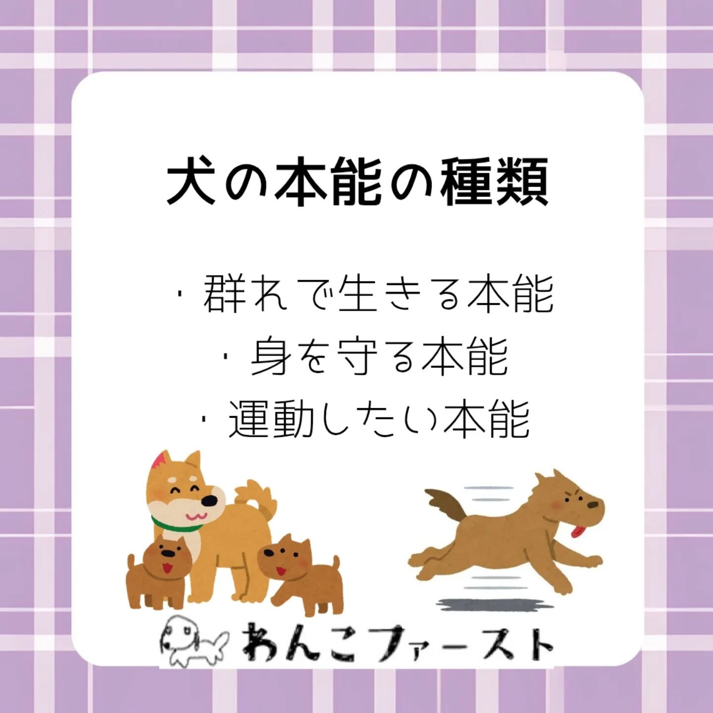 犬が突然吠えたり、追いかけっこが大好きだったりするのには理由