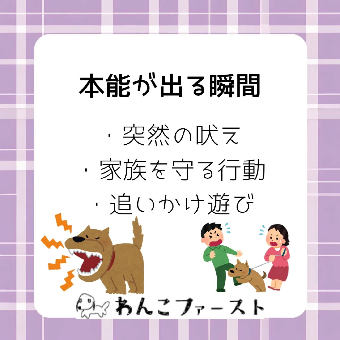 犬が突然吠えたり、追いかけっこが大好きだったりするのには理由
