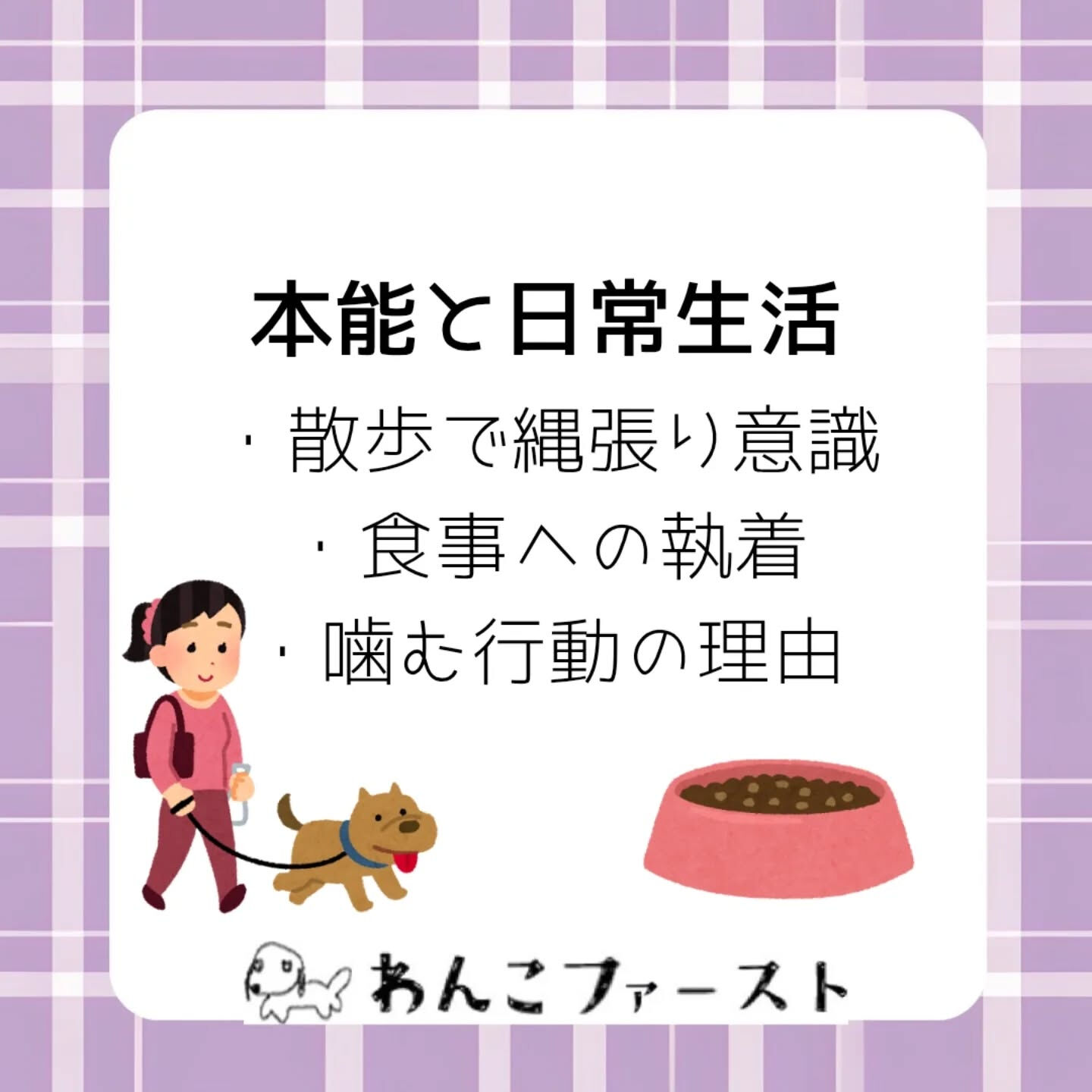 犬が突然吠えたり、追いかけっこが大好きだったりするのには理由