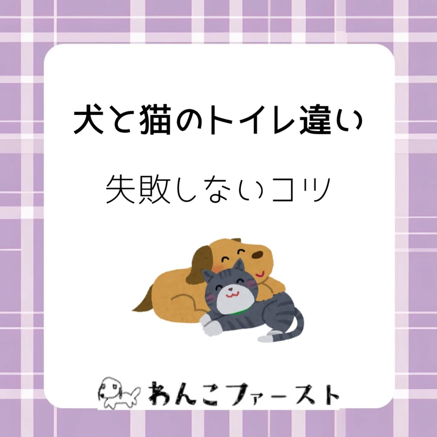 犬と猫、実はトイレの考え方が全く違うって知っていましたか？🐶