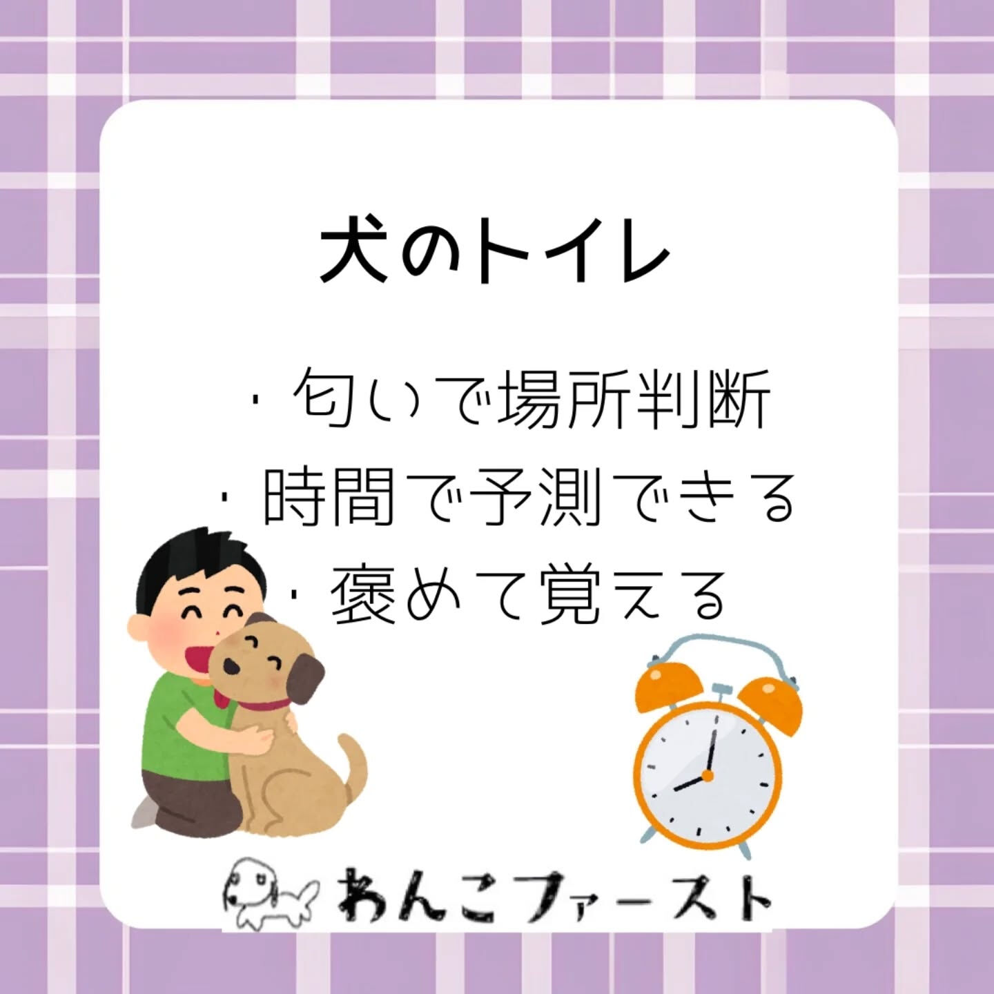犬と猫、実はトイレの考え方が全く違うって知っていましたか？🐶