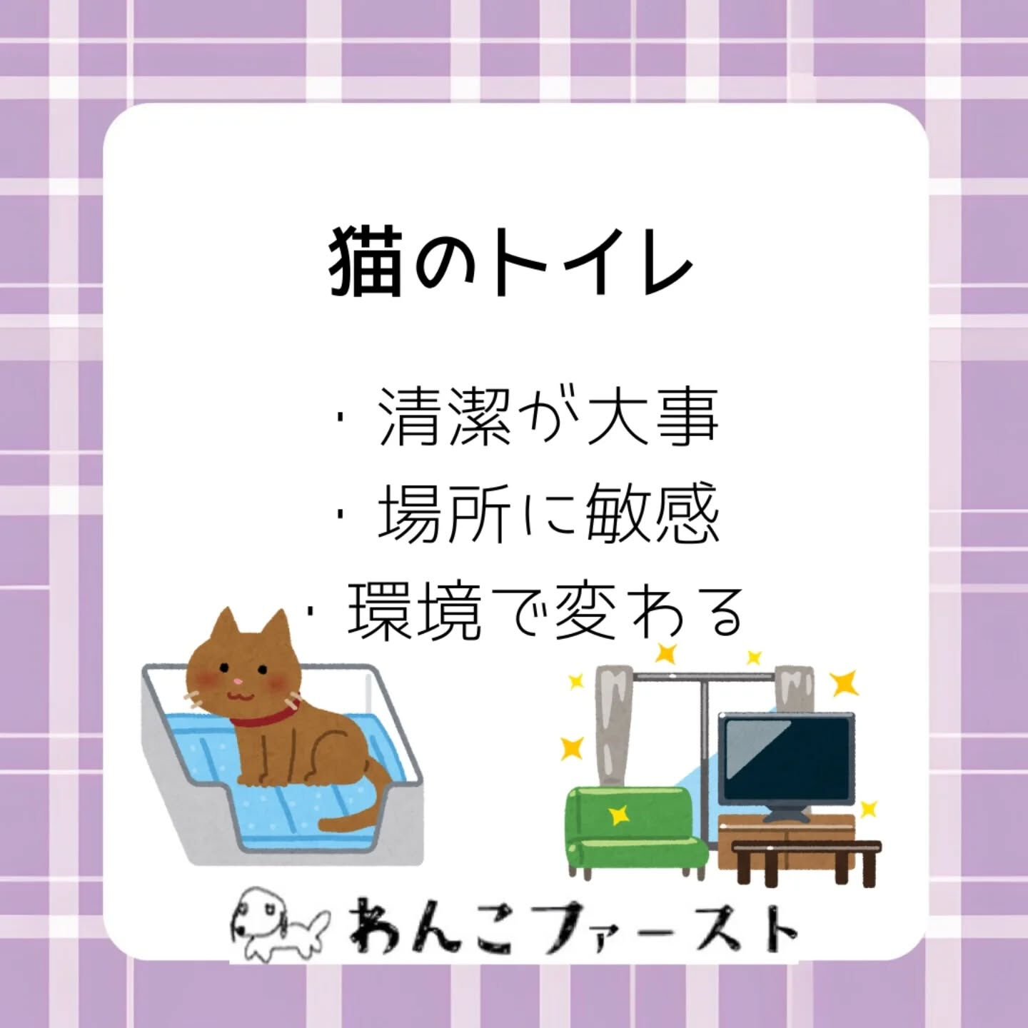 犬と猫、実はトイレの考え方が全く違うって知っていましたか？🐶
