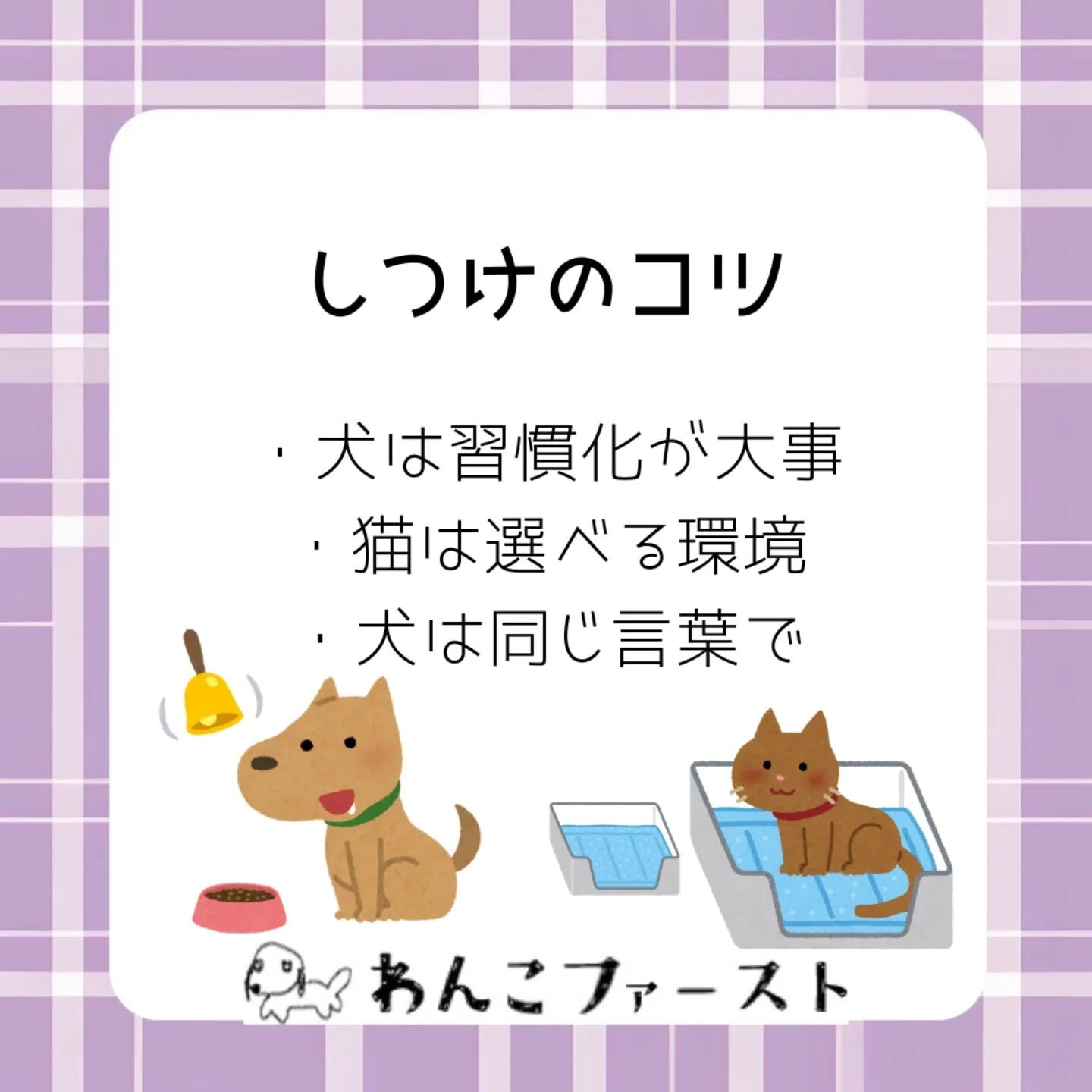 犬と猫、実はトイレの考え方が全く違うって知っていましたか？🐶