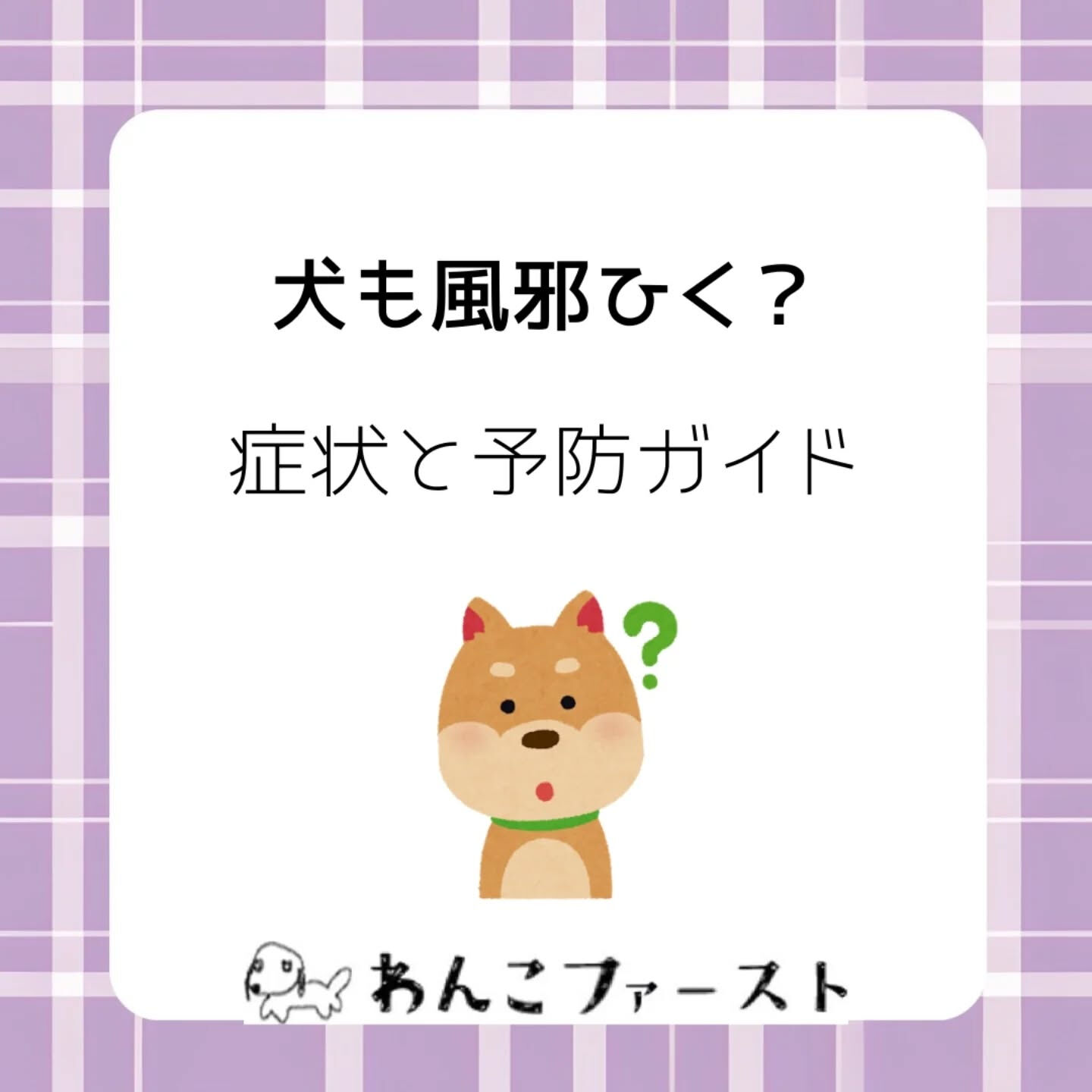 🐶愛犬も風邪をひくことがあります