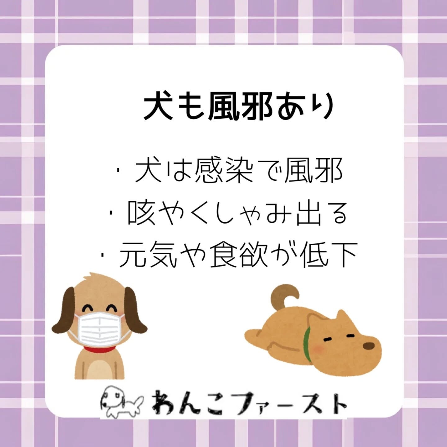 🐶愛犬も風邪をひくことがあります