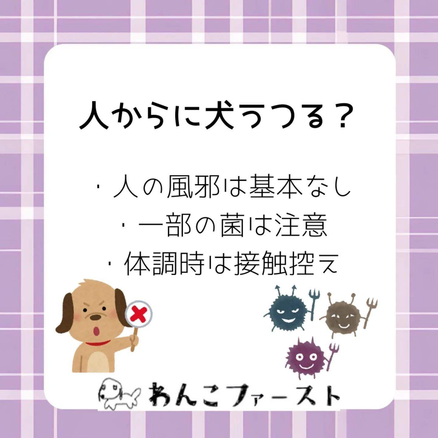 🐶愛犬も風邪をひくことがあります