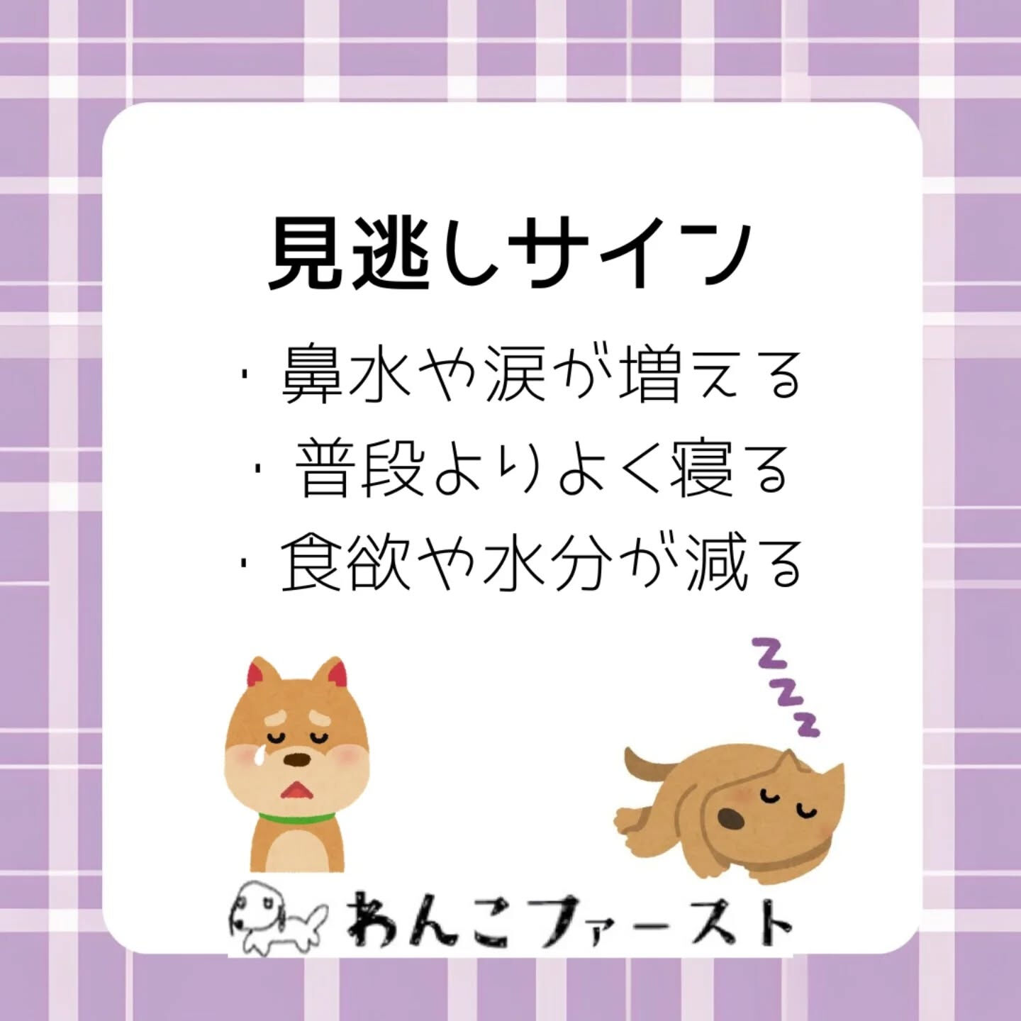 🐶愛犬も風邪をひくことがあります