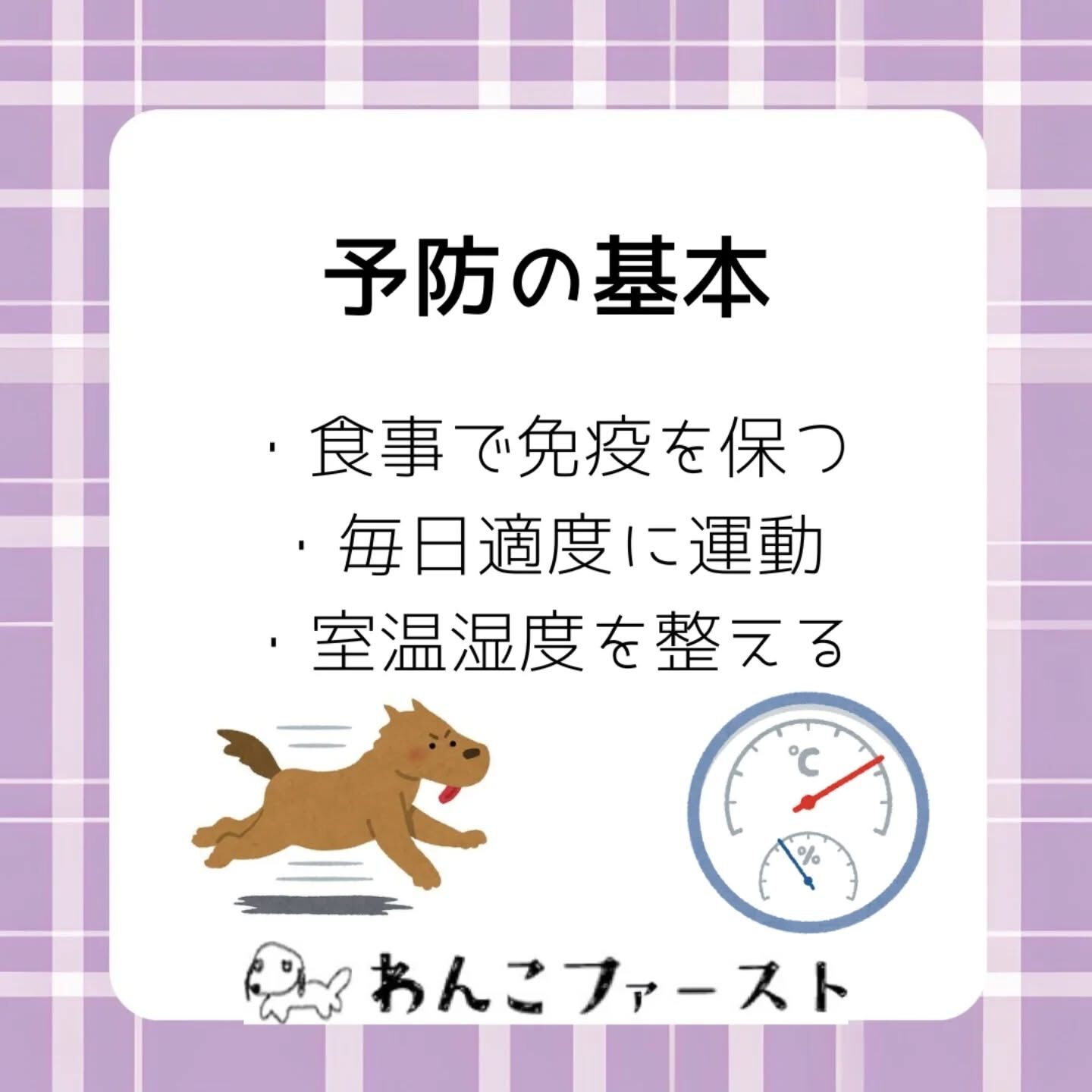 🐶愛犬も風邪をひくことがあります