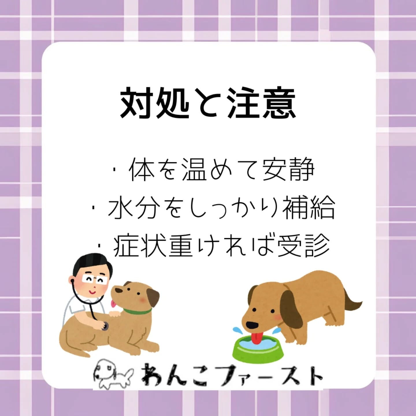🐶愛犬も風邪をひくことがあります