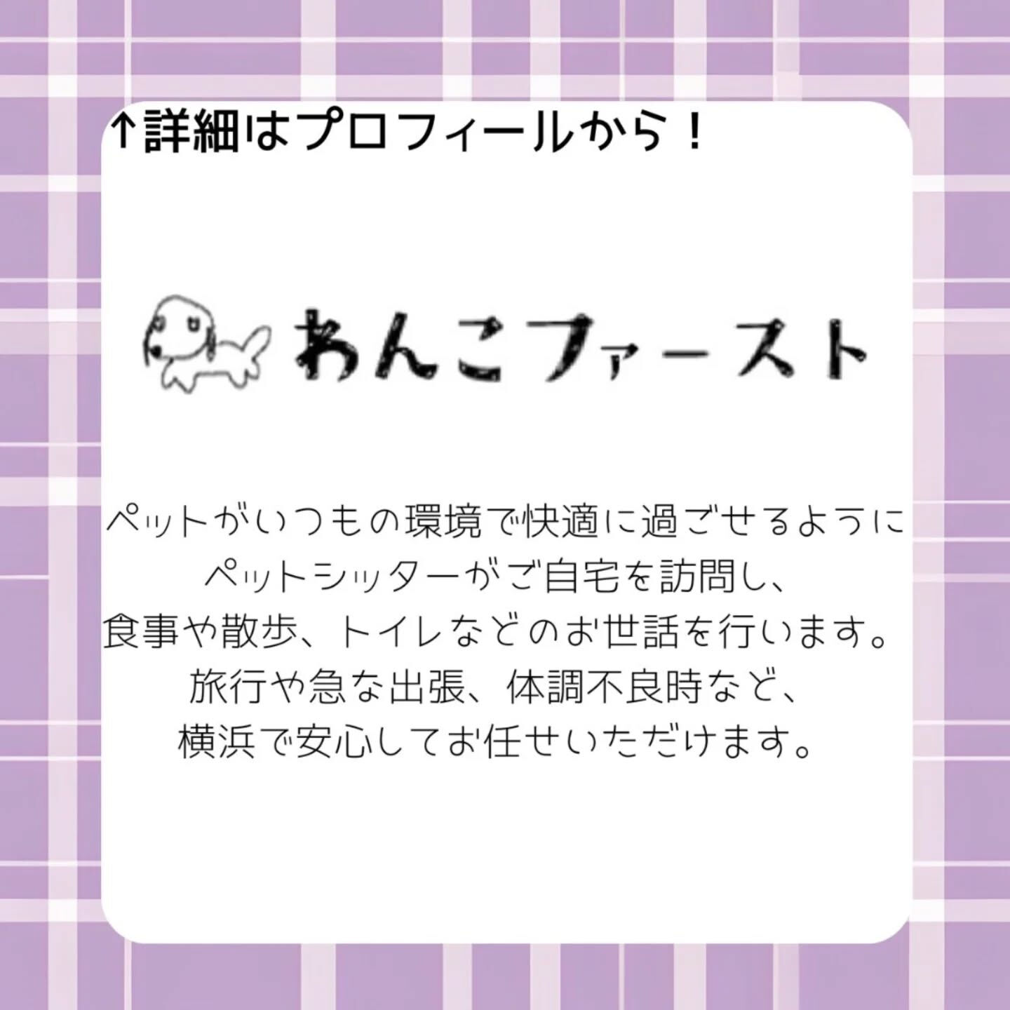 🐶愛犬も風邪をひくことがあります