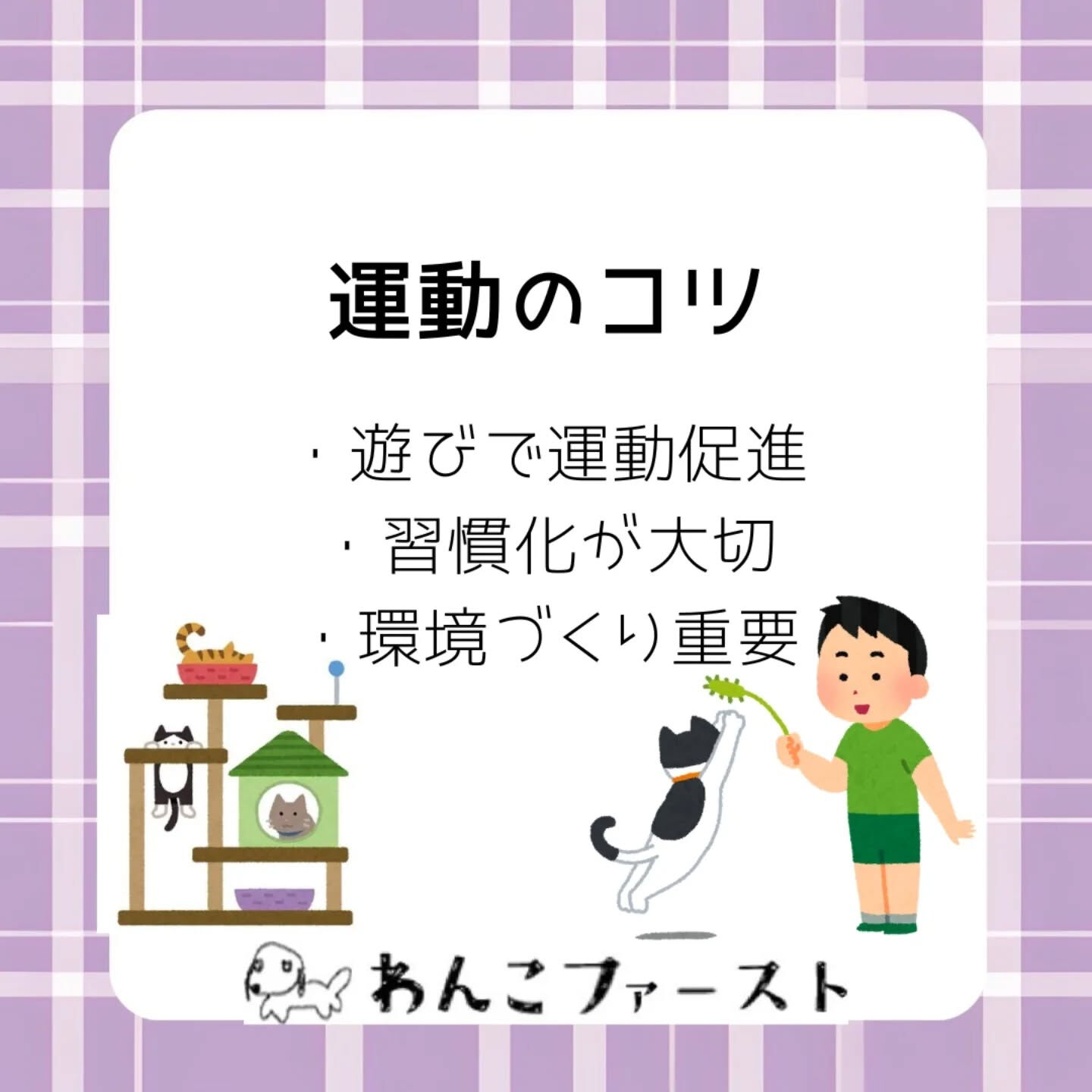 猫の走る速さは、実はそれぞれ違います🐈💨
