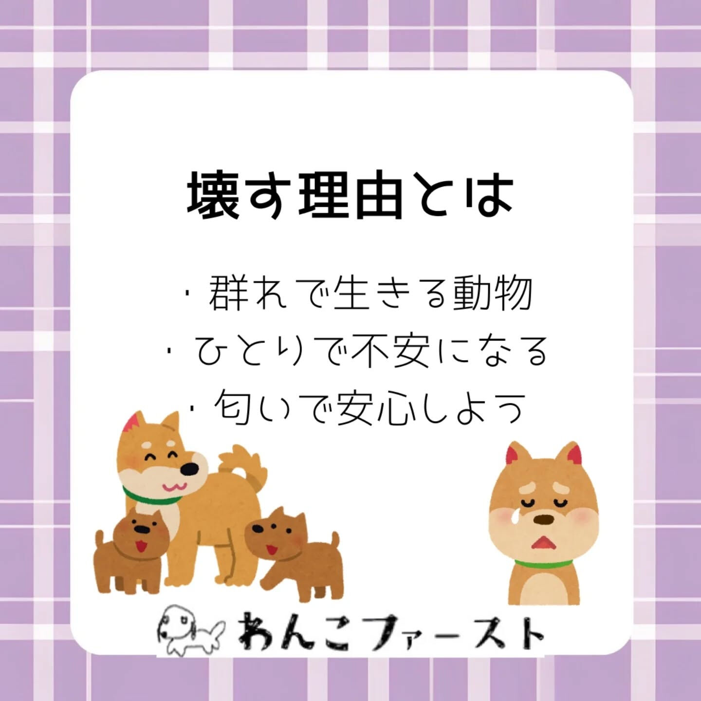 お留守番中に「物を壊す…」