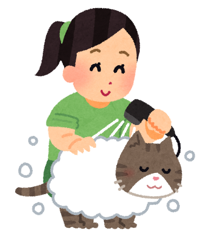ブログ