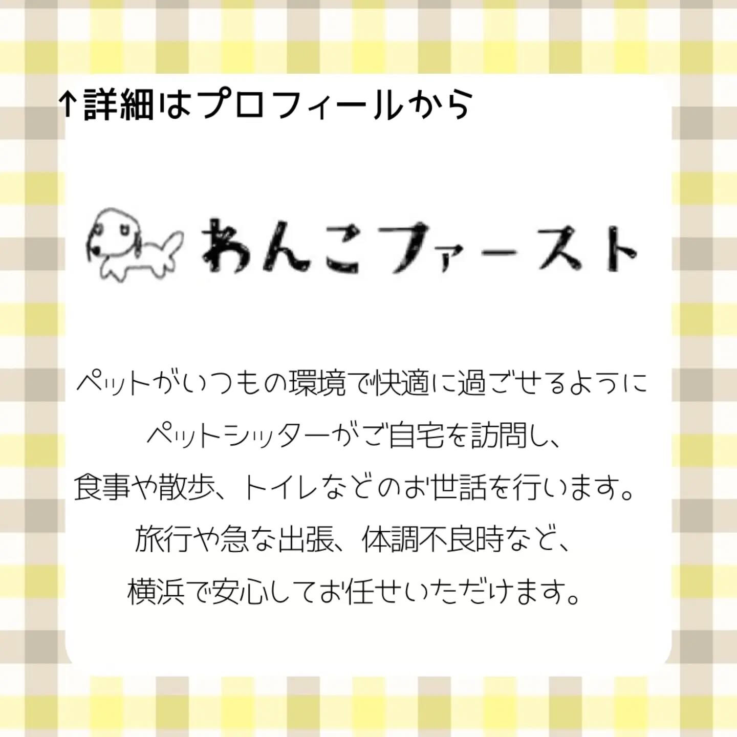 🐾🌻【7月のお休みのお知らせ＆夏休みのご予約受付中】🌻🐾