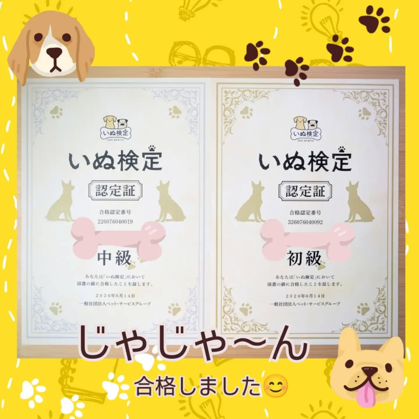 🐾🎉ご報告🎉🐾
