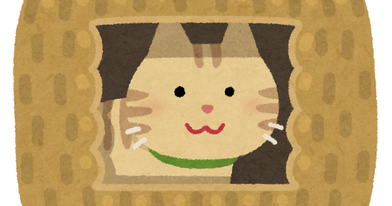 ブログ