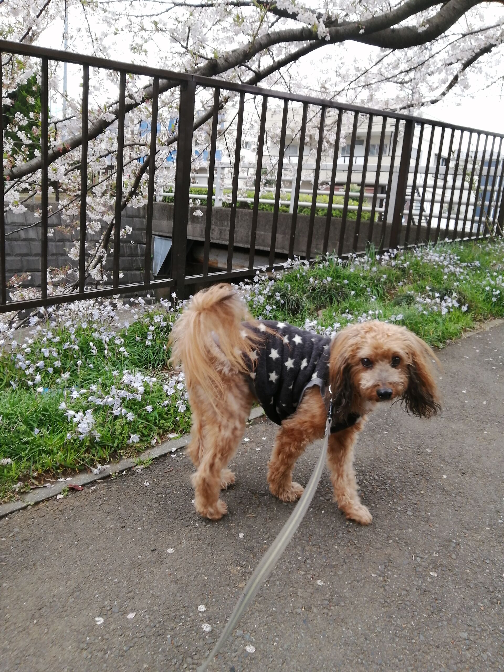 雨の日でも