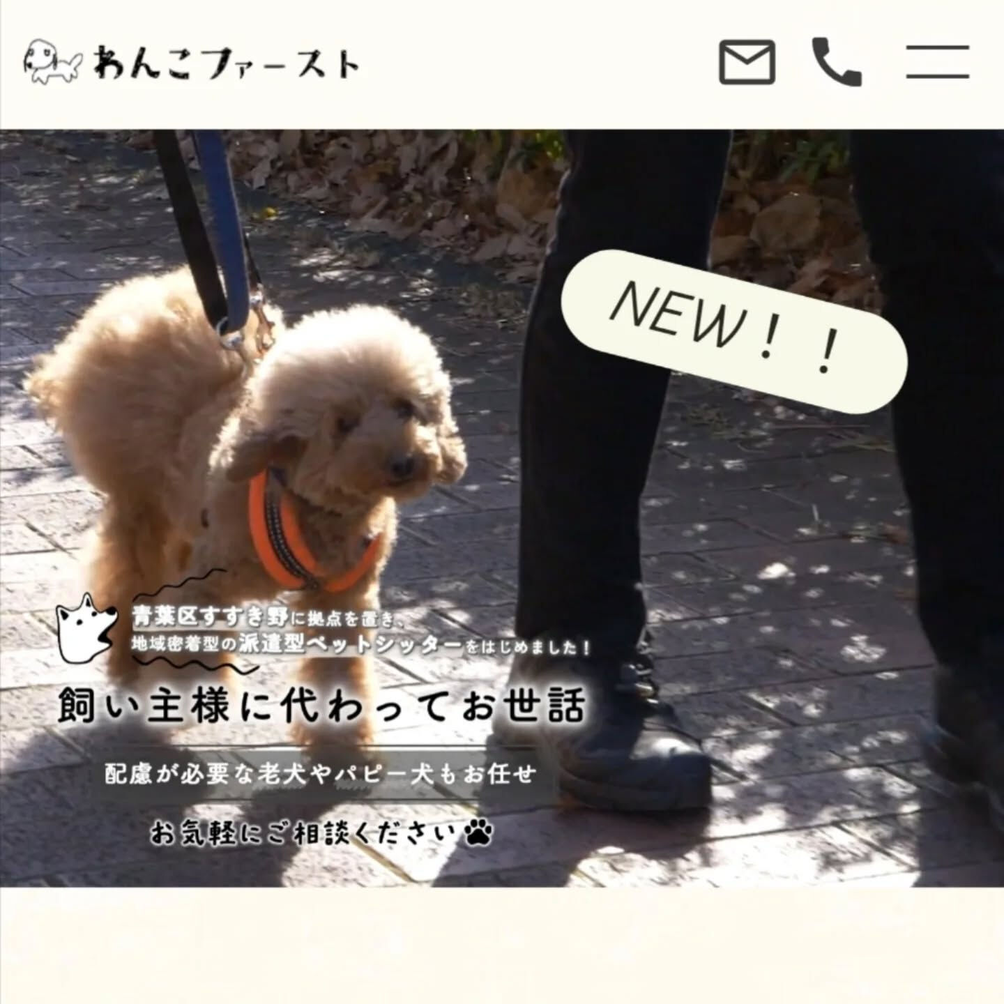 横浜市青葉区のペットシッターわんこファーストです！