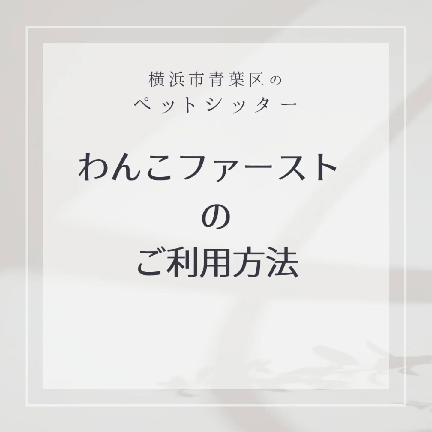 横浜市青葉区のペットシッターわんこファーストです!
