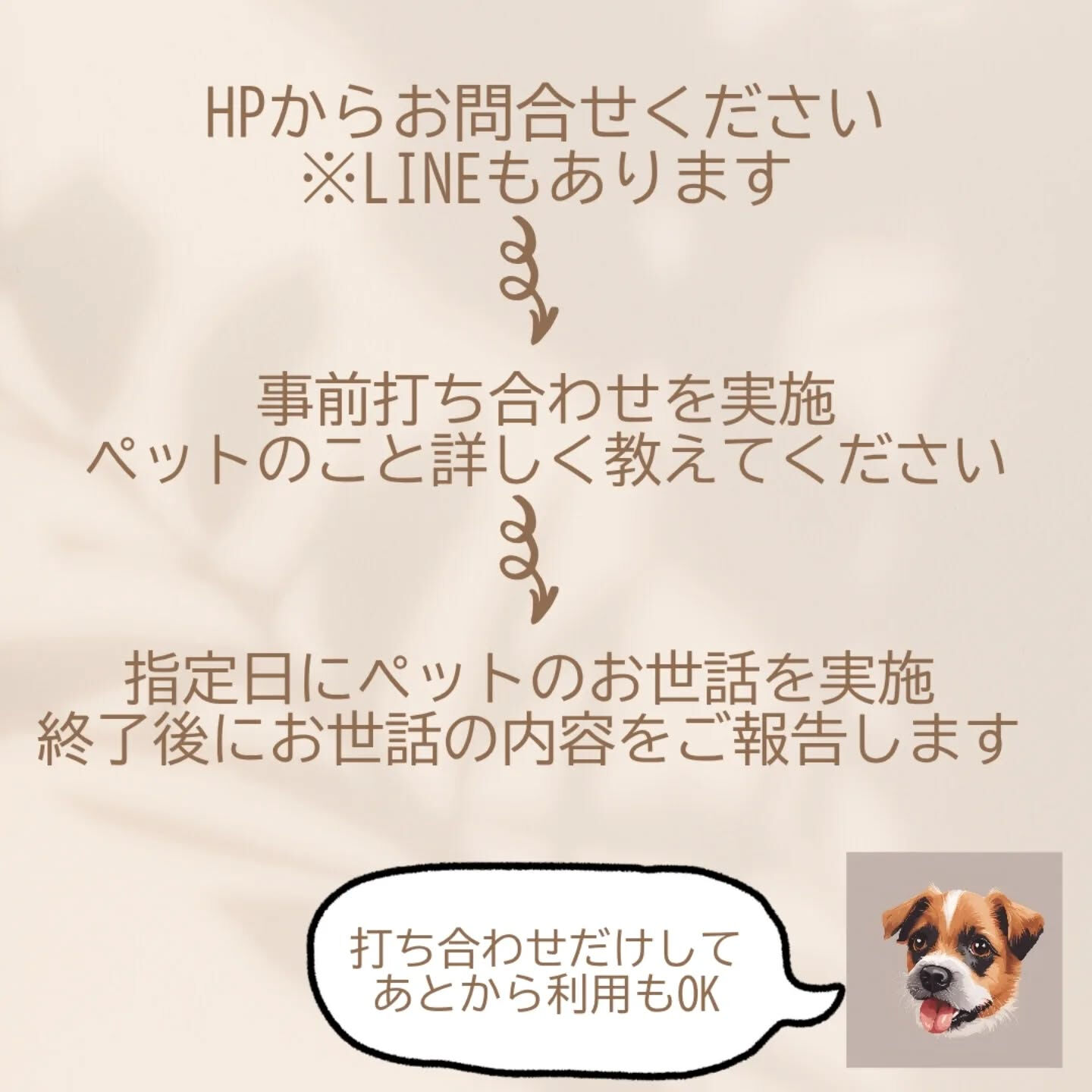 横浜市青葉区のペットシッターわんこファーストです!