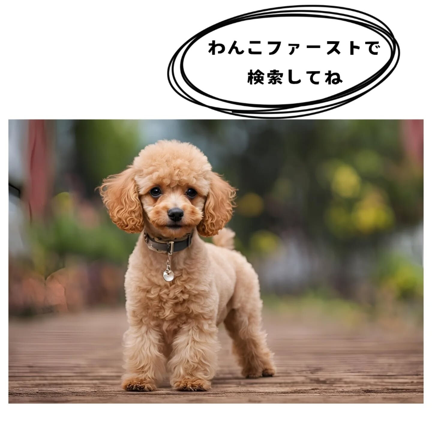 横浜市青葉区のペットシッターわんこファーストです!