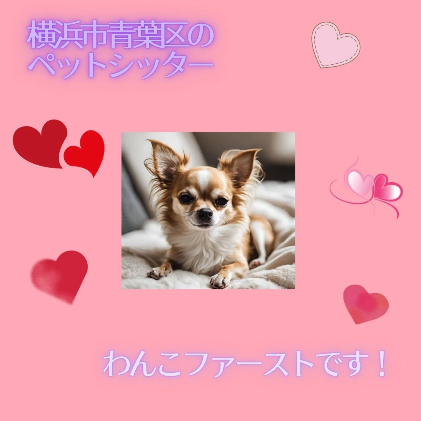 横浜市青葉区のペットシッターわんこファーストです!