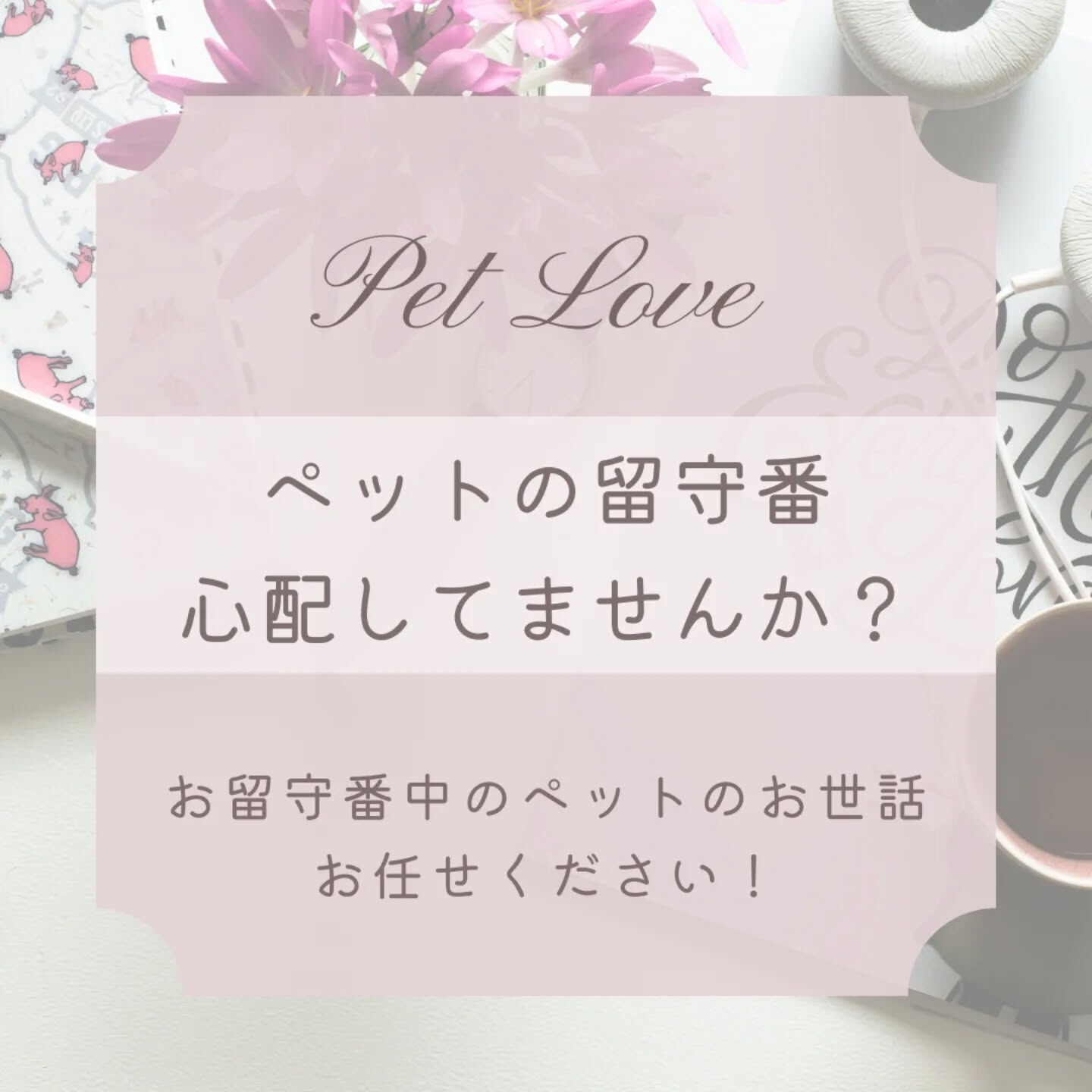 横浜市青葉区のペットシッターわんこファーストです!