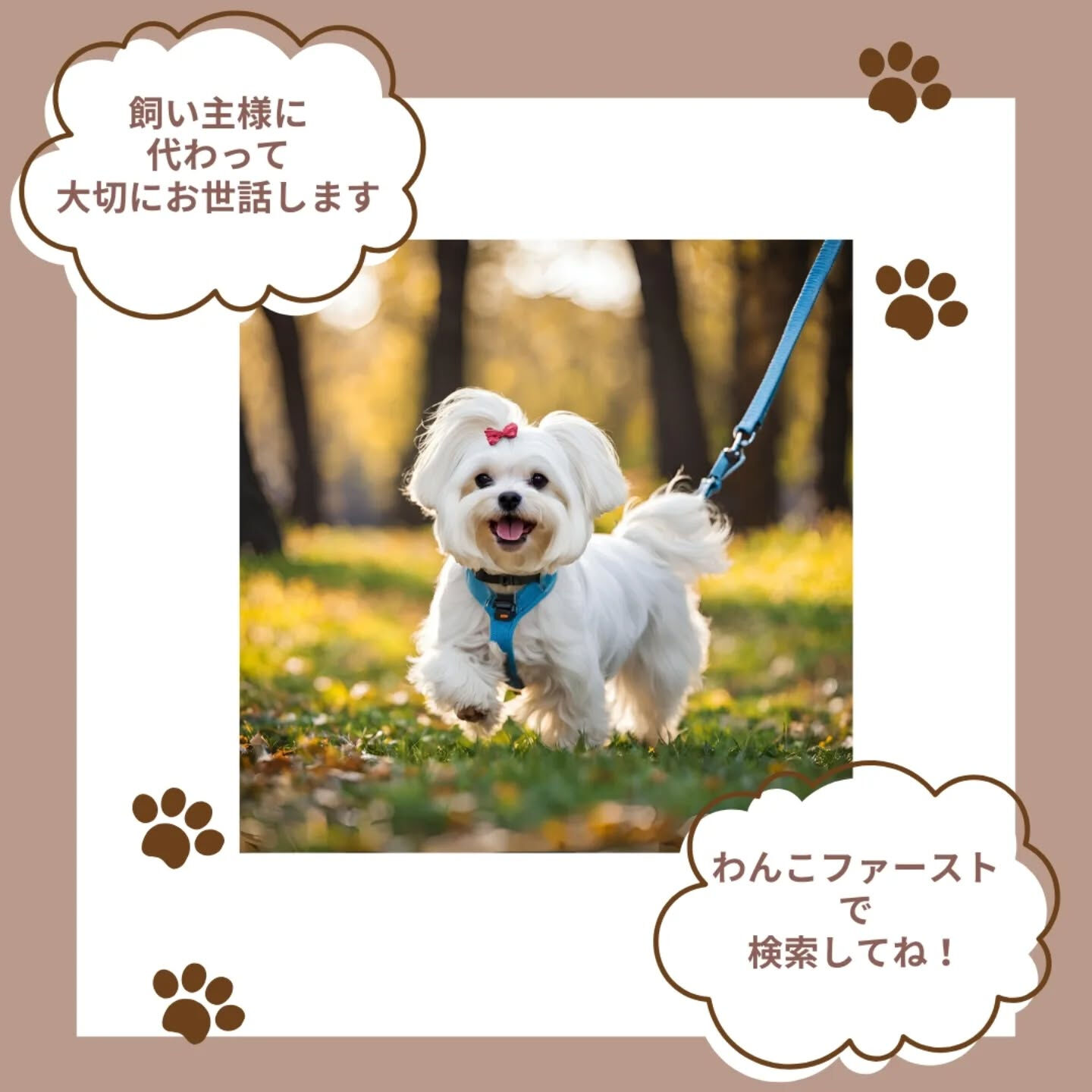 横浜市青葉区のペットシッターわんこファーストです!
