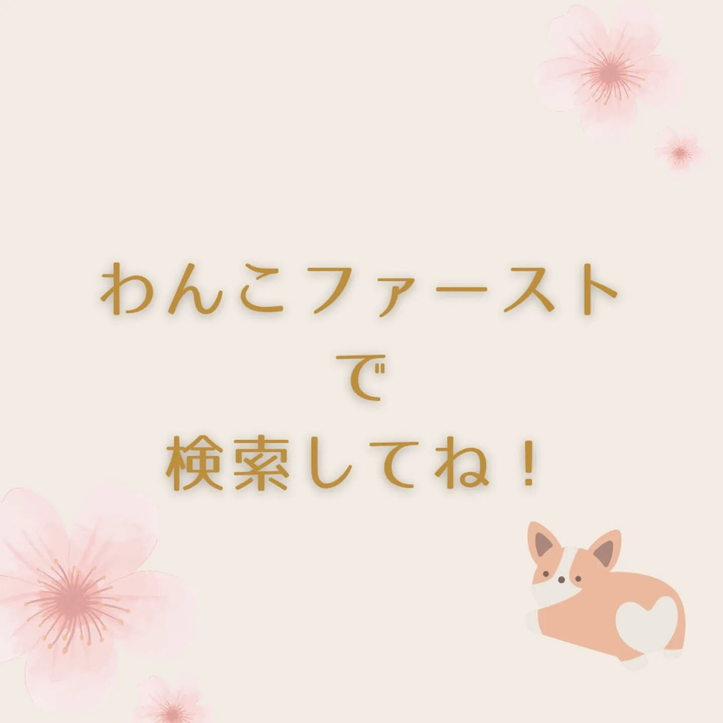 横浜市青葉区のペットシッターわんこファーストです!