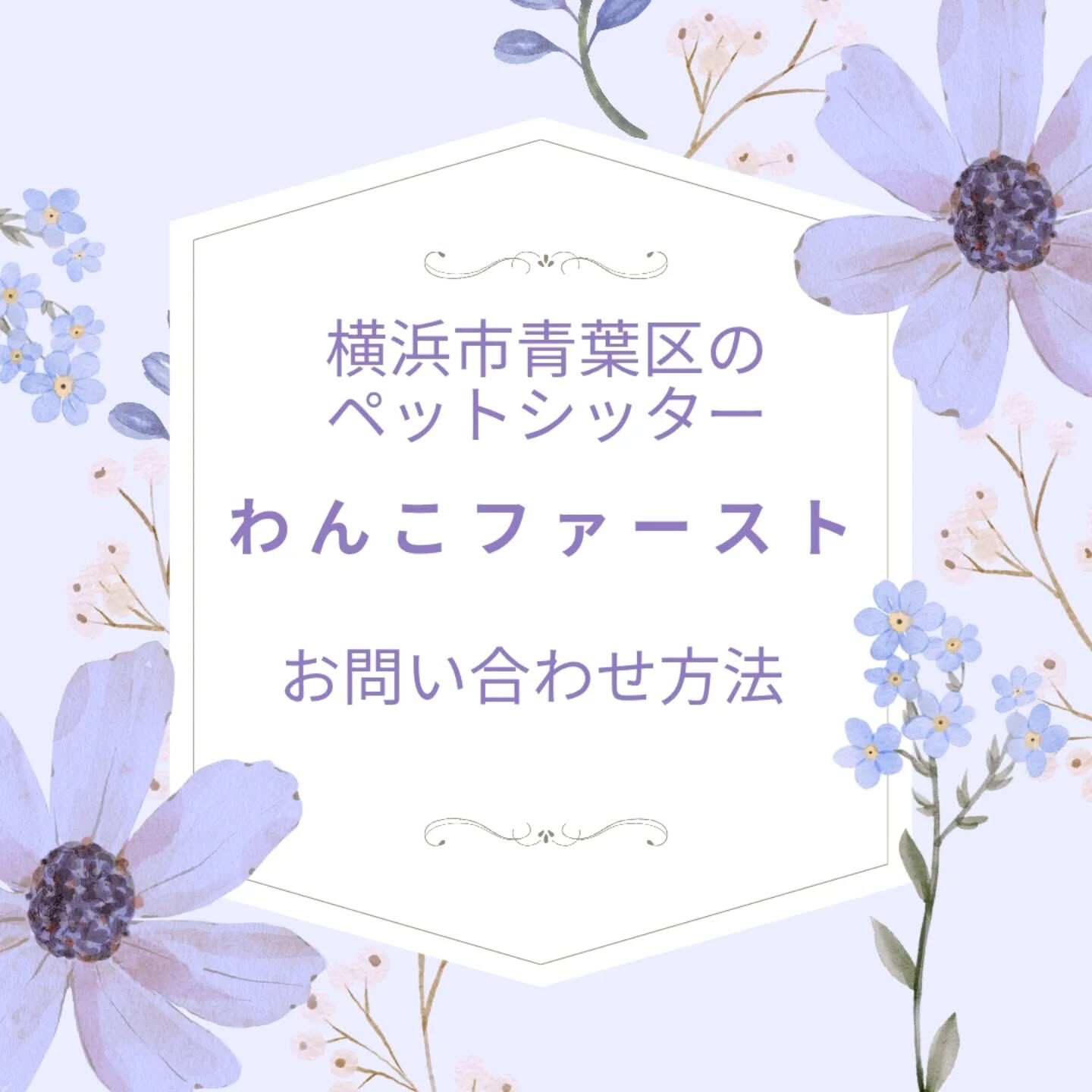 横浜市青葉区のペットシッターわんこファーストです！