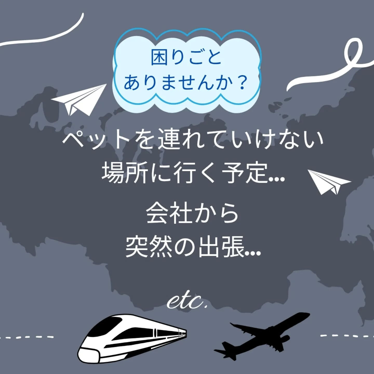横浜市青葉区のペットシッターわんこファーストです！