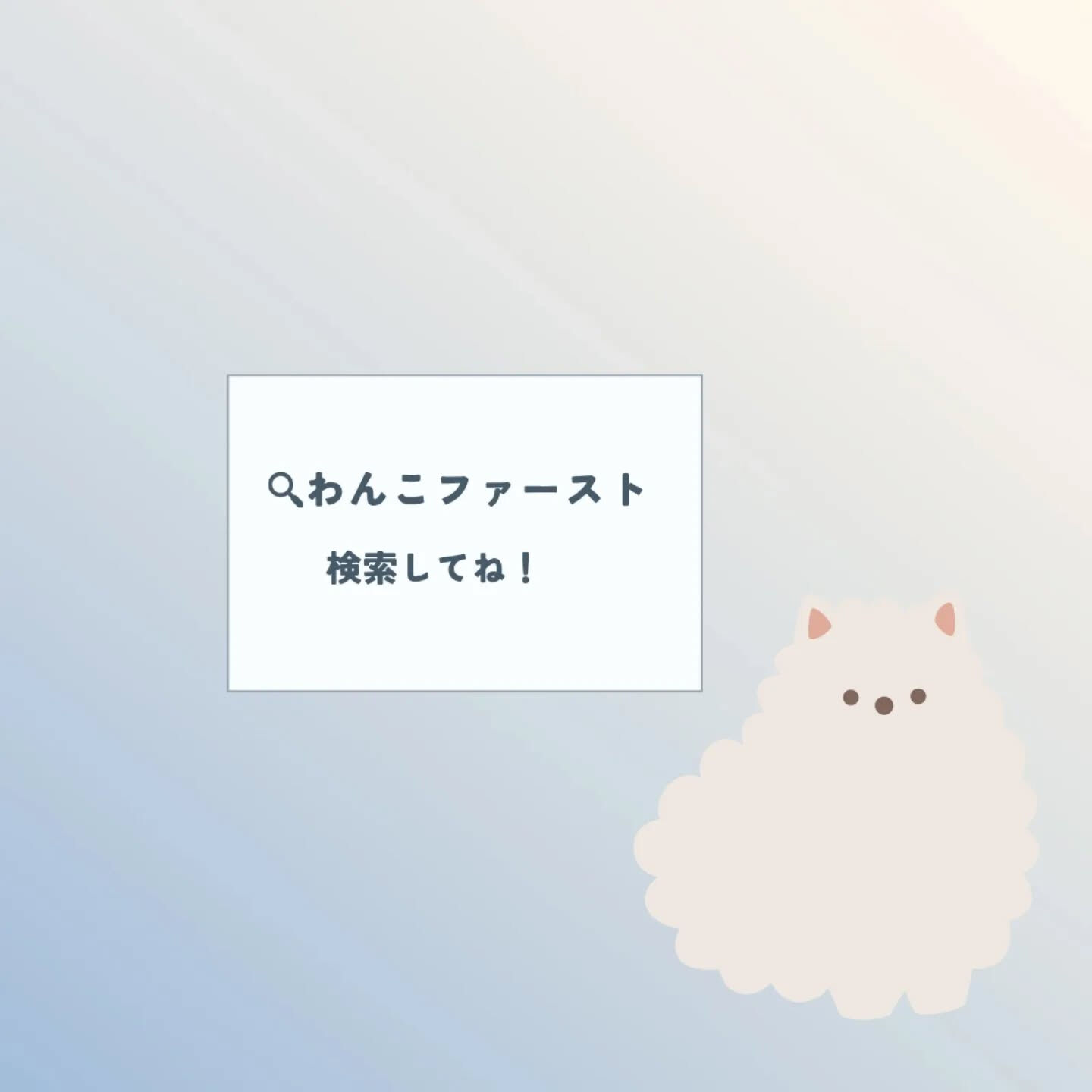 横浜市青葉区のペットシッターわんこファーストです！