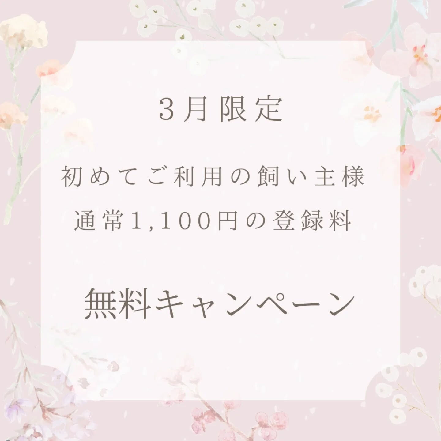 横浜市青葉区のペットシッターわんこファーストです！