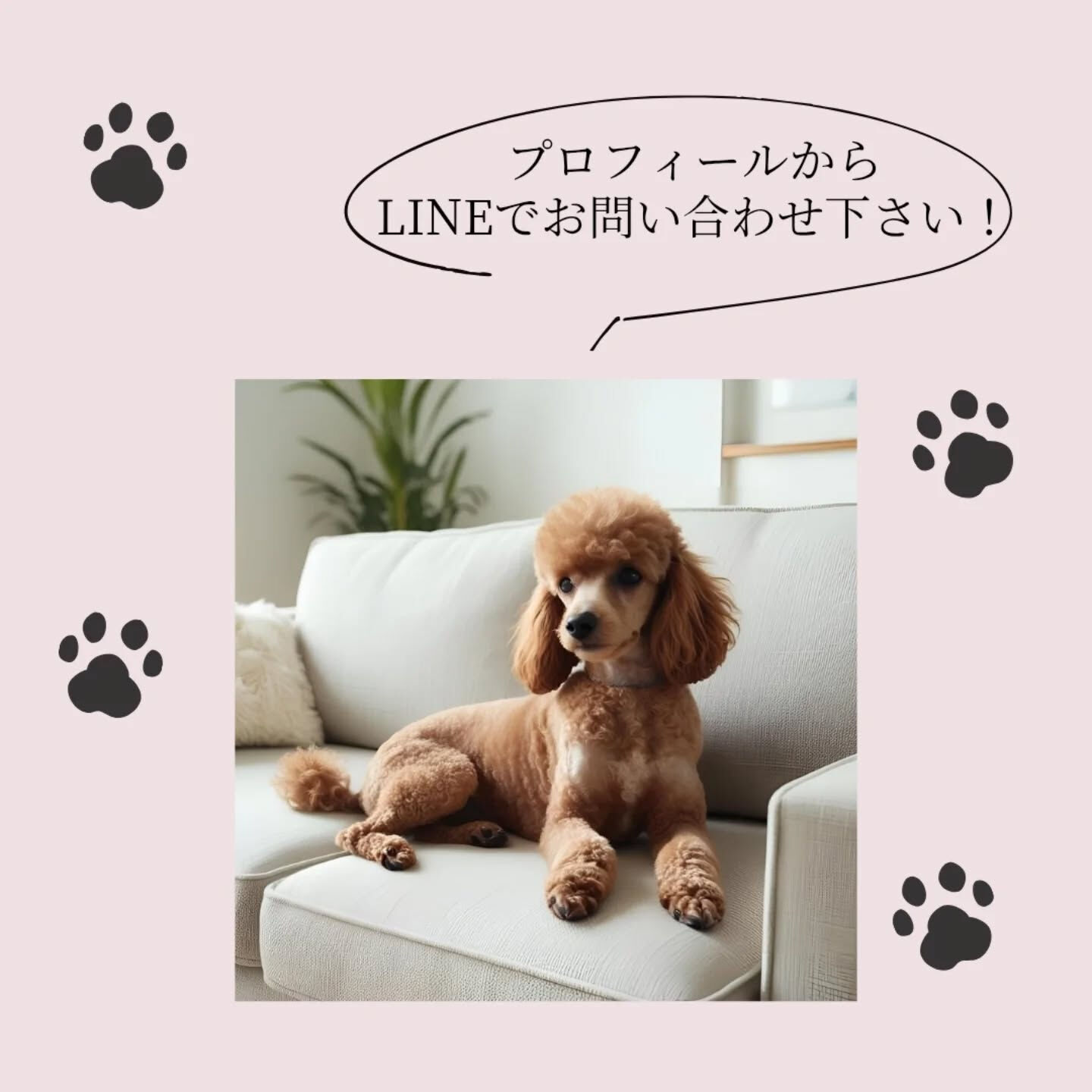 横浜市青葉区のペットシッターわんこファーストです！