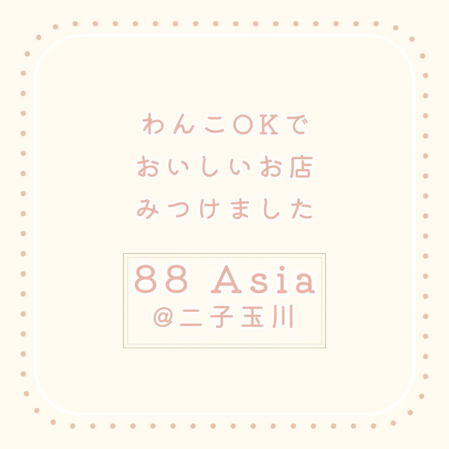 横浜市青葉区のペットシッターわんこファーストです!