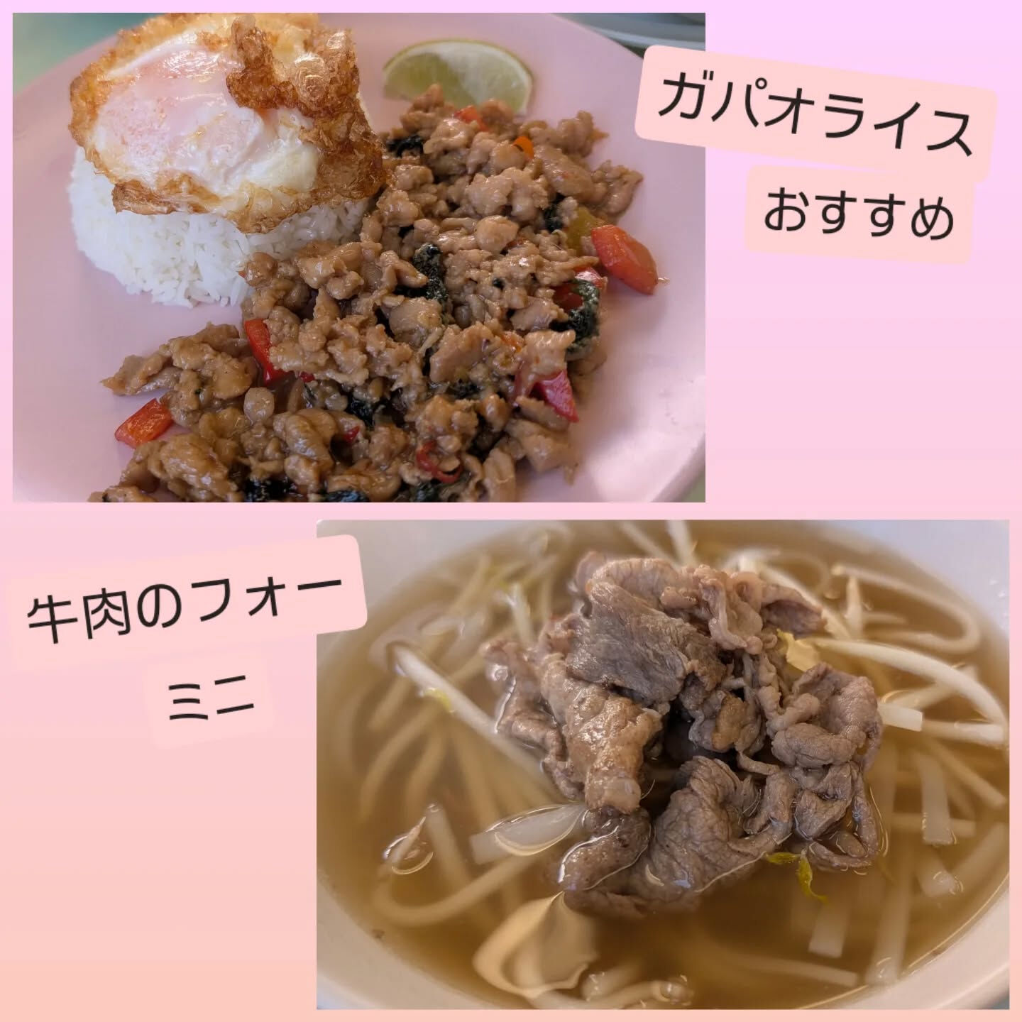 横浜市青葉区のペットシッターわんこファーストです!