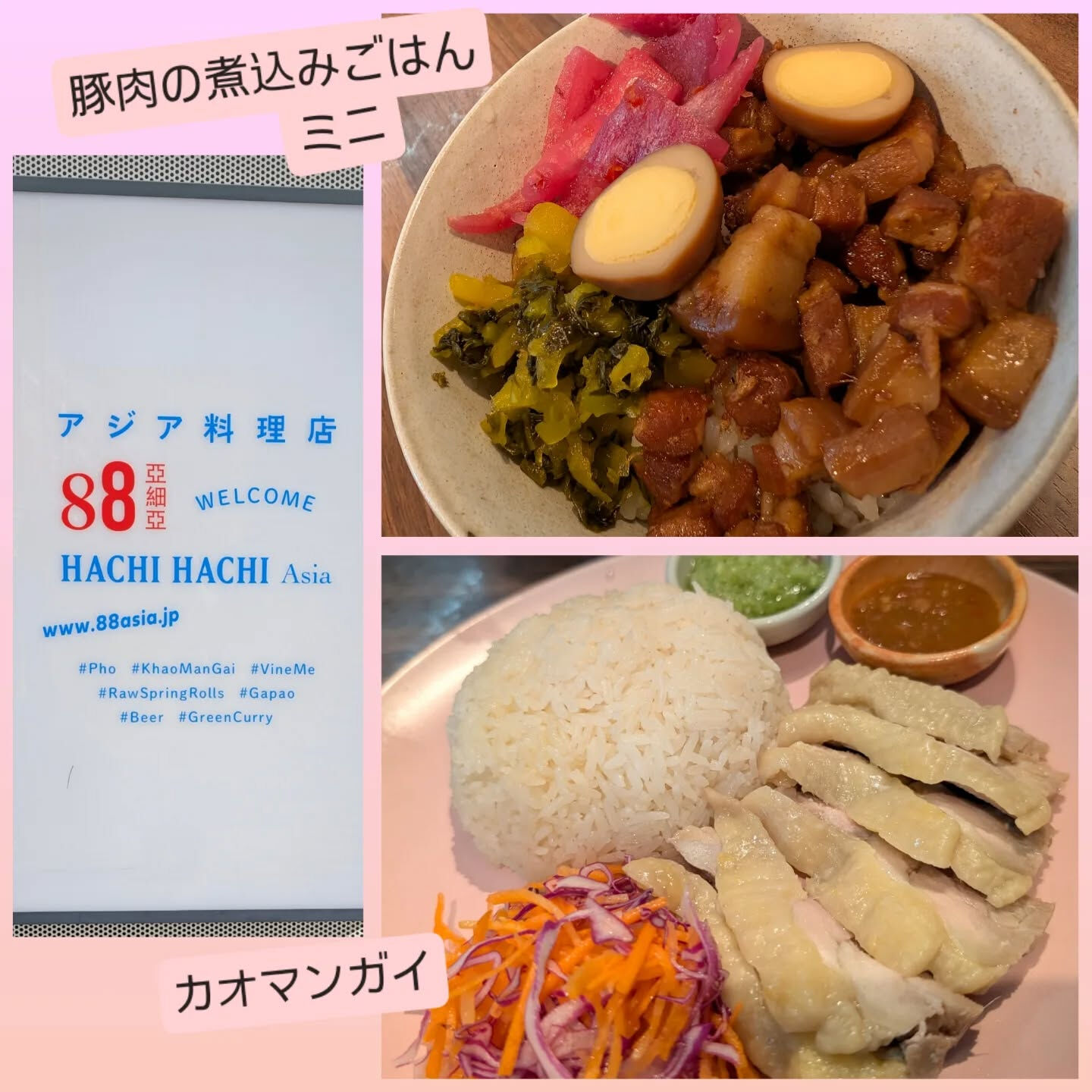 横浜市青葉区のペットシッターわんこファーストです!