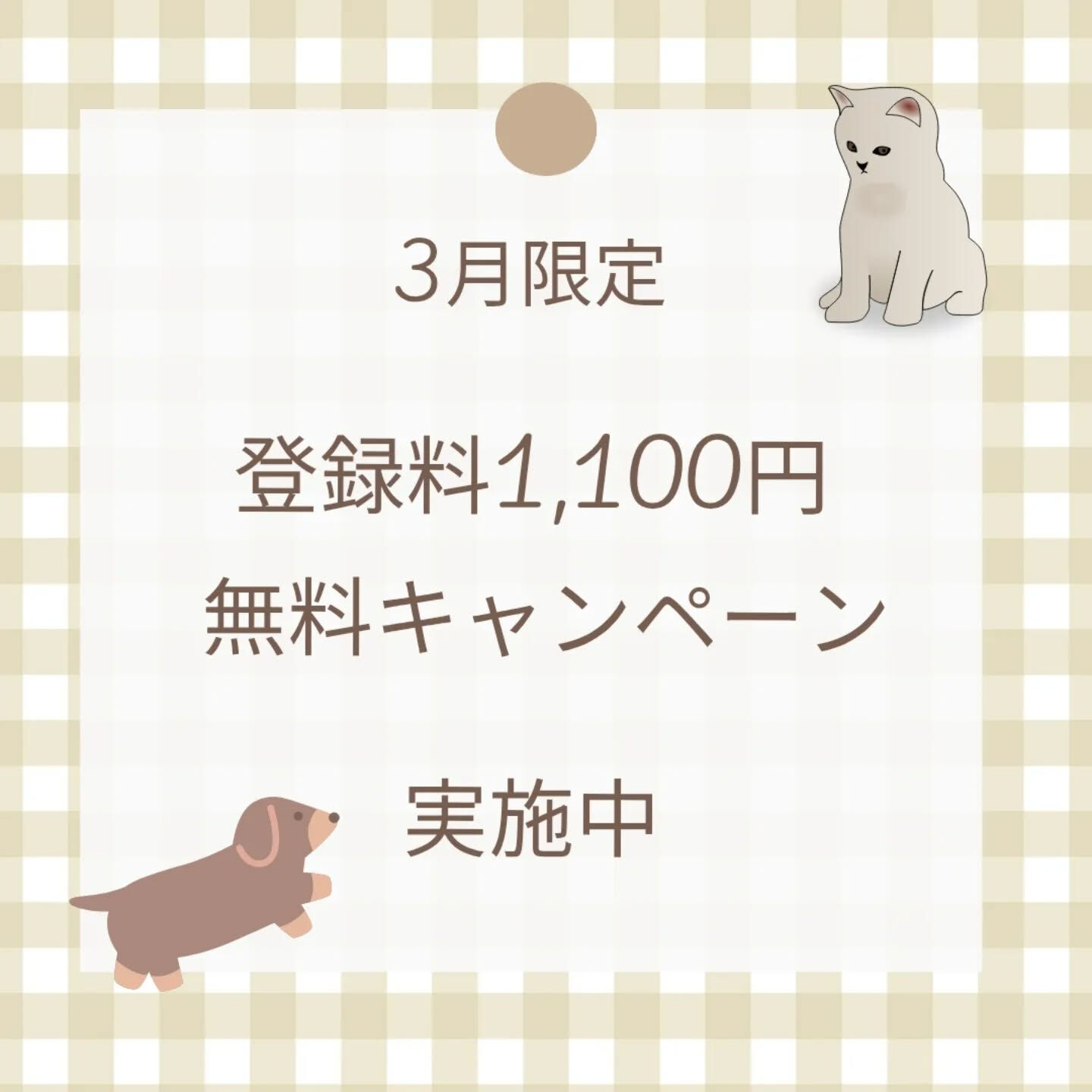 横浜市青葉区のペットシッターわんこファーストです!