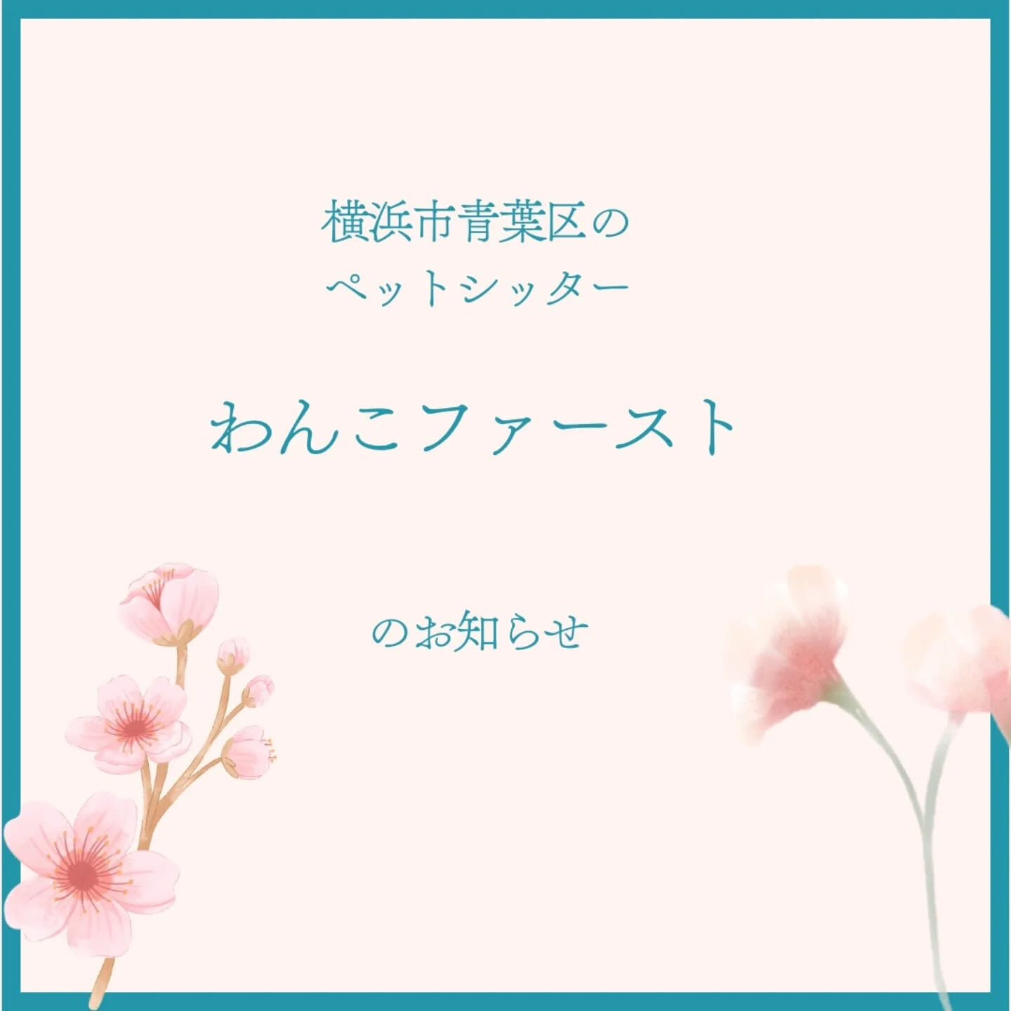 横浜市青葉区のペットシッターわんこファーストです!